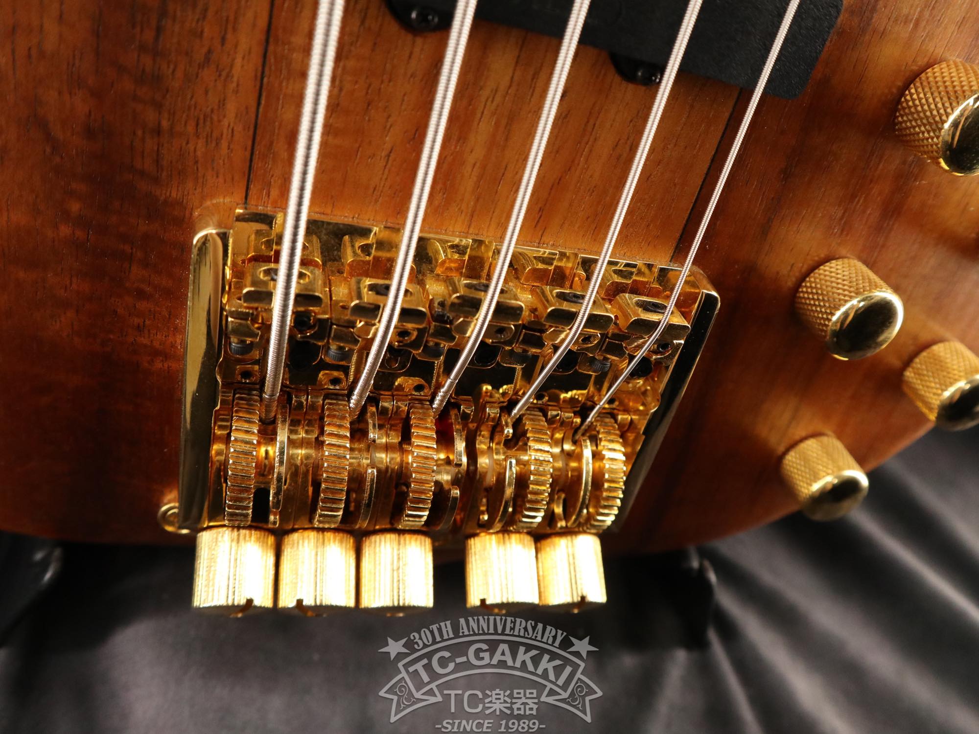 Headless 5st - TC楽器 - TCGAKKI