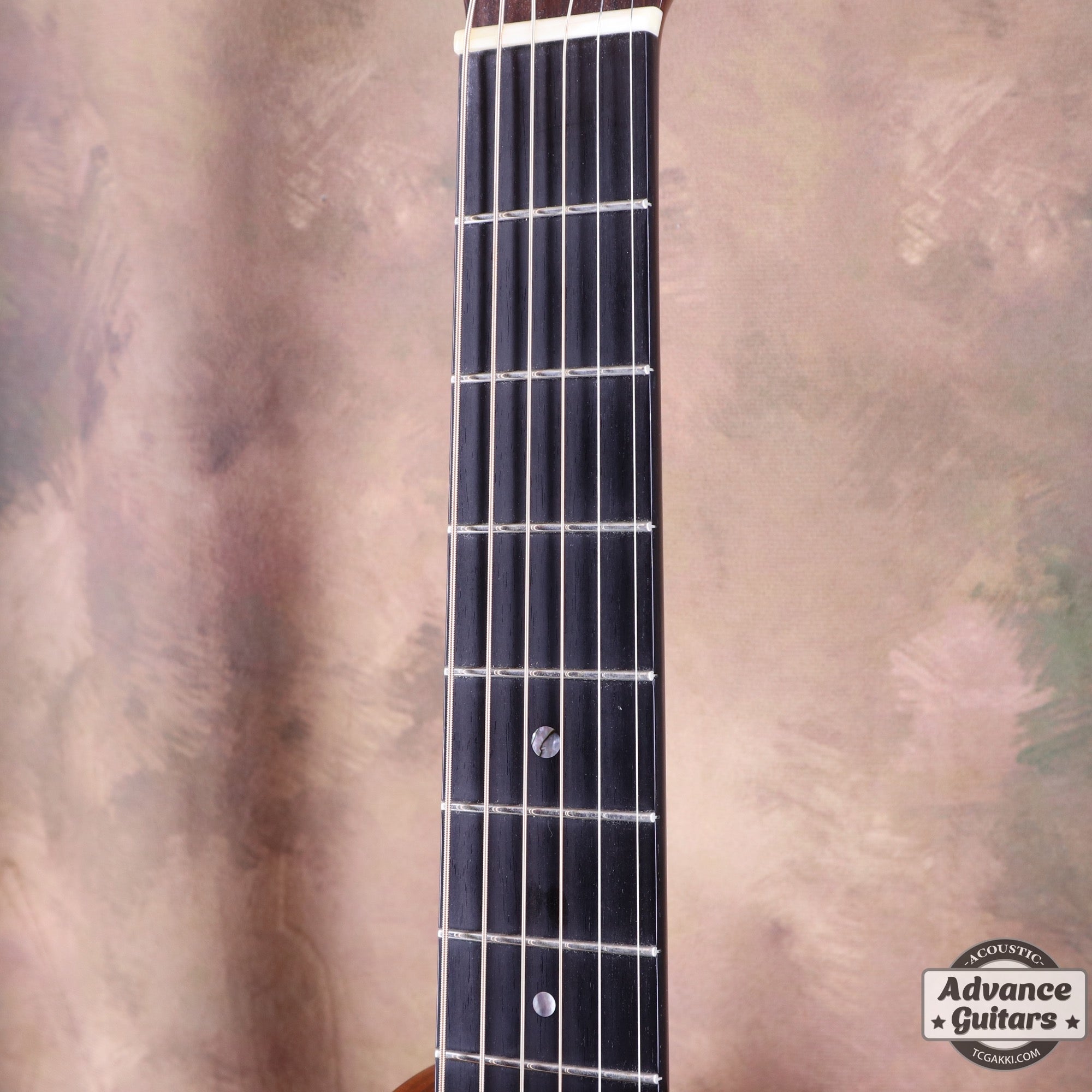 HF - 180 REAR CUSTOM - TC楽器 - TCGAKKI