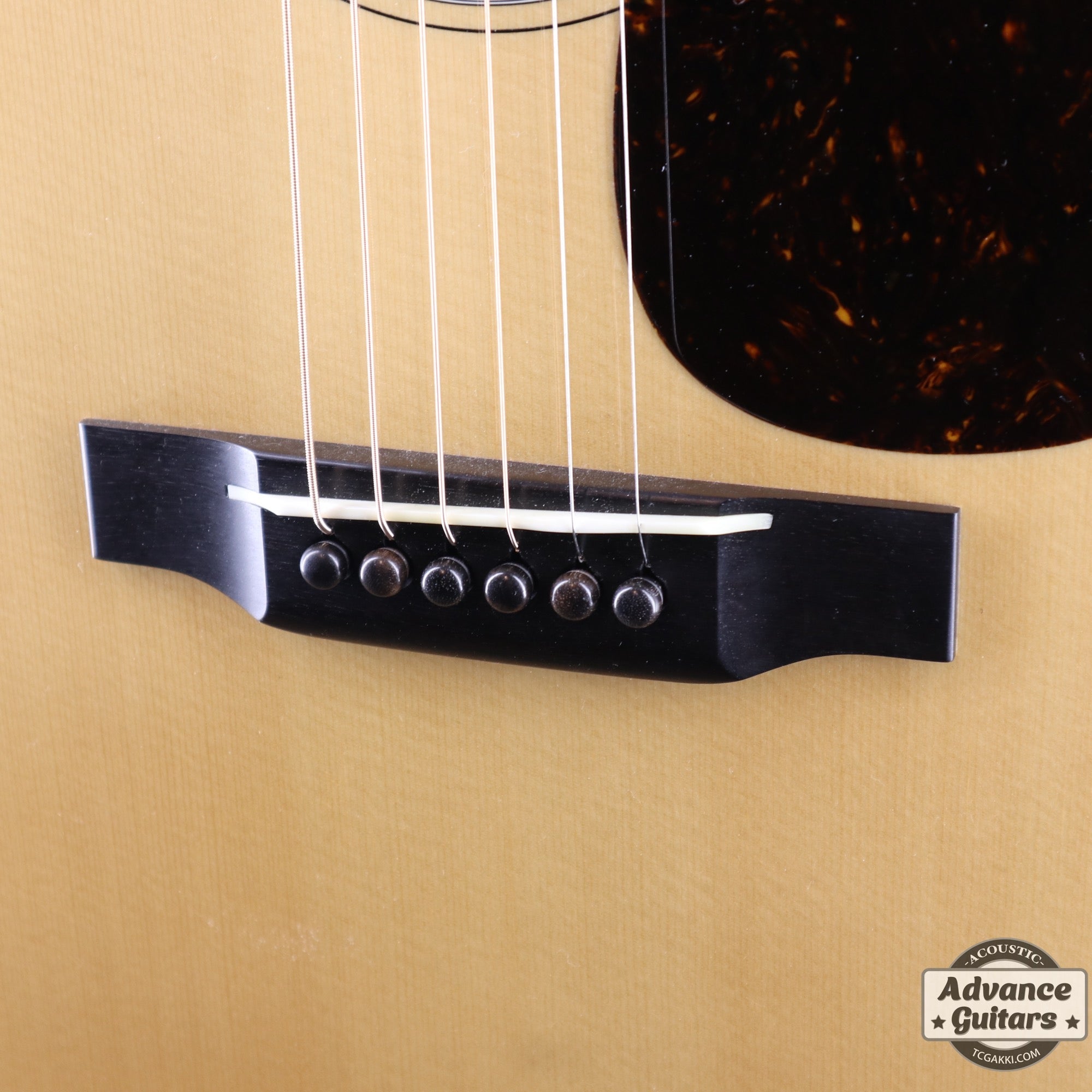 HF - 180 REAR CUSTOM - TC楽器 - TCGAKKI