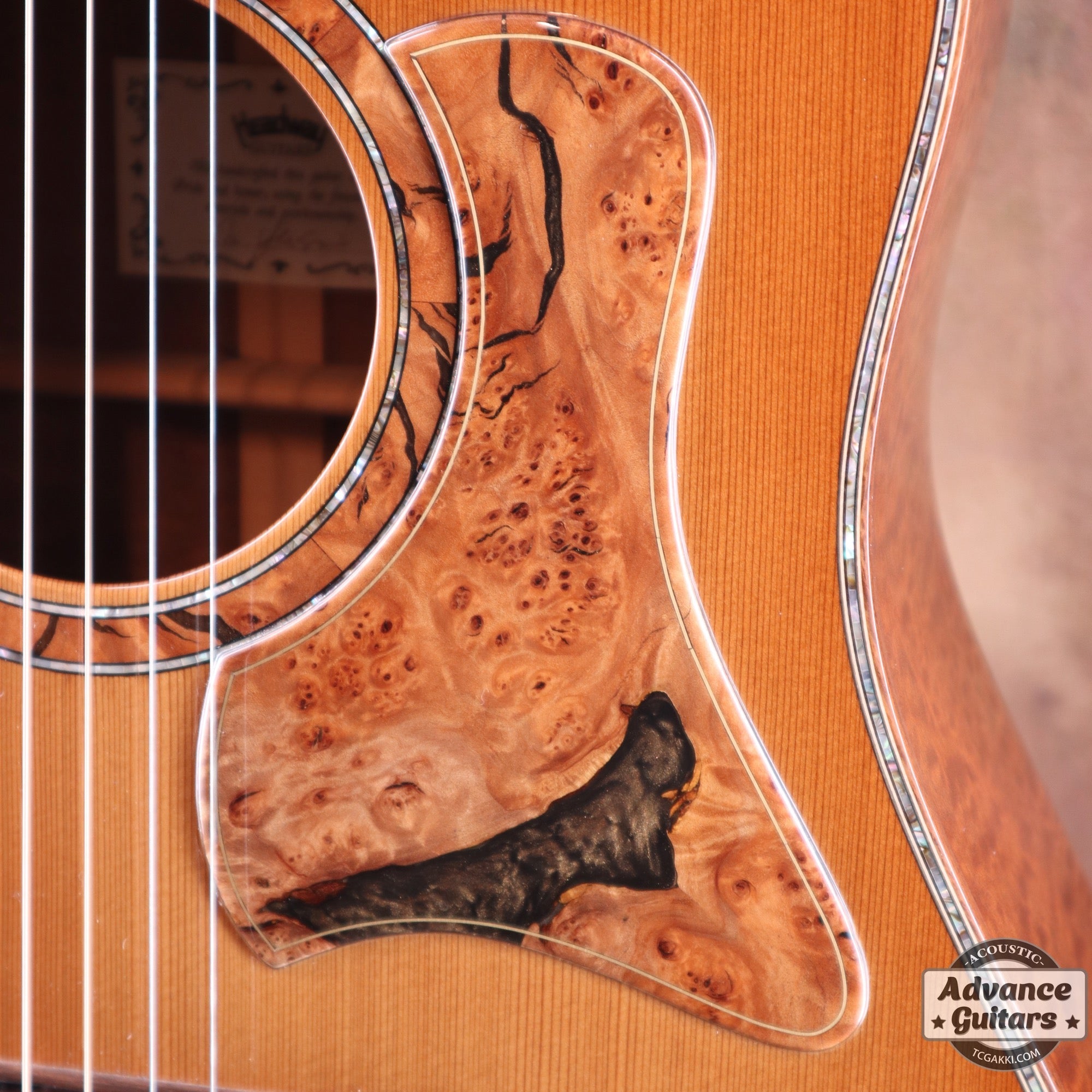 2020年製 HJ-CB Polestar