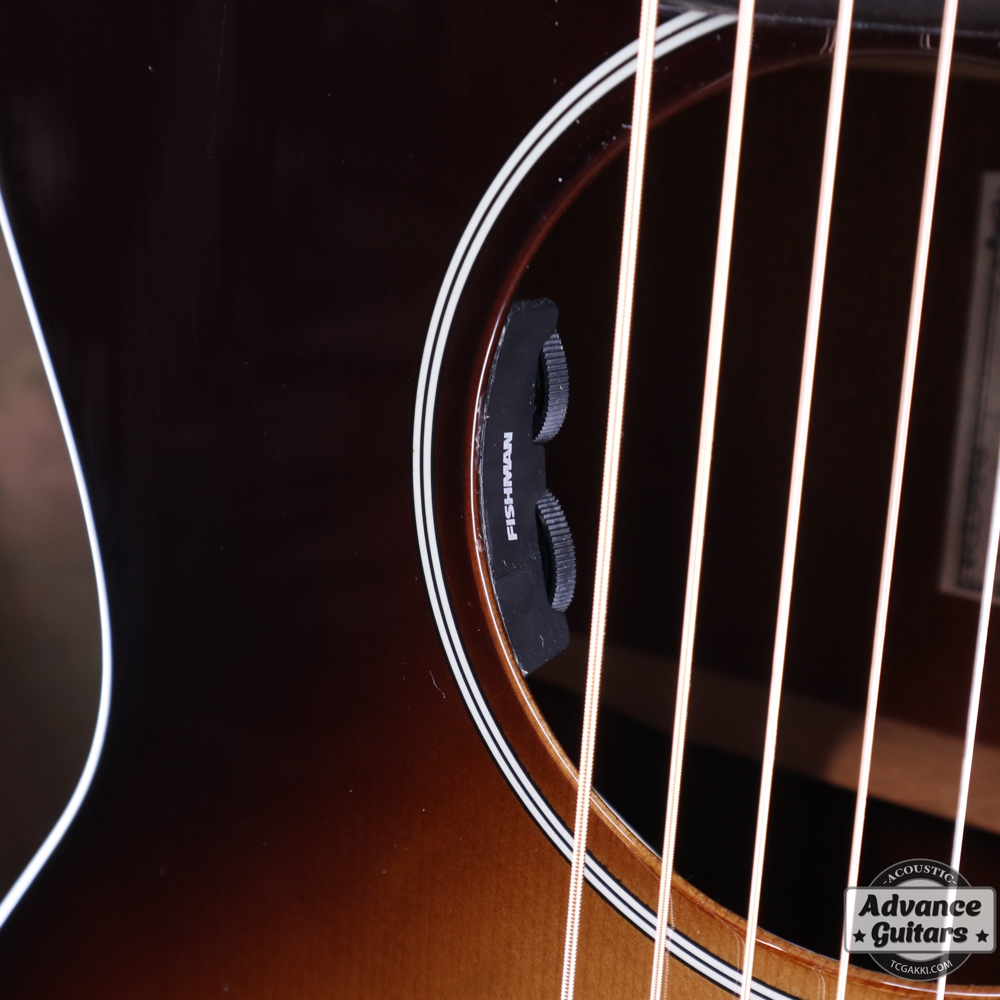 HL - V085SE - TC楽器 - TCGAKKI