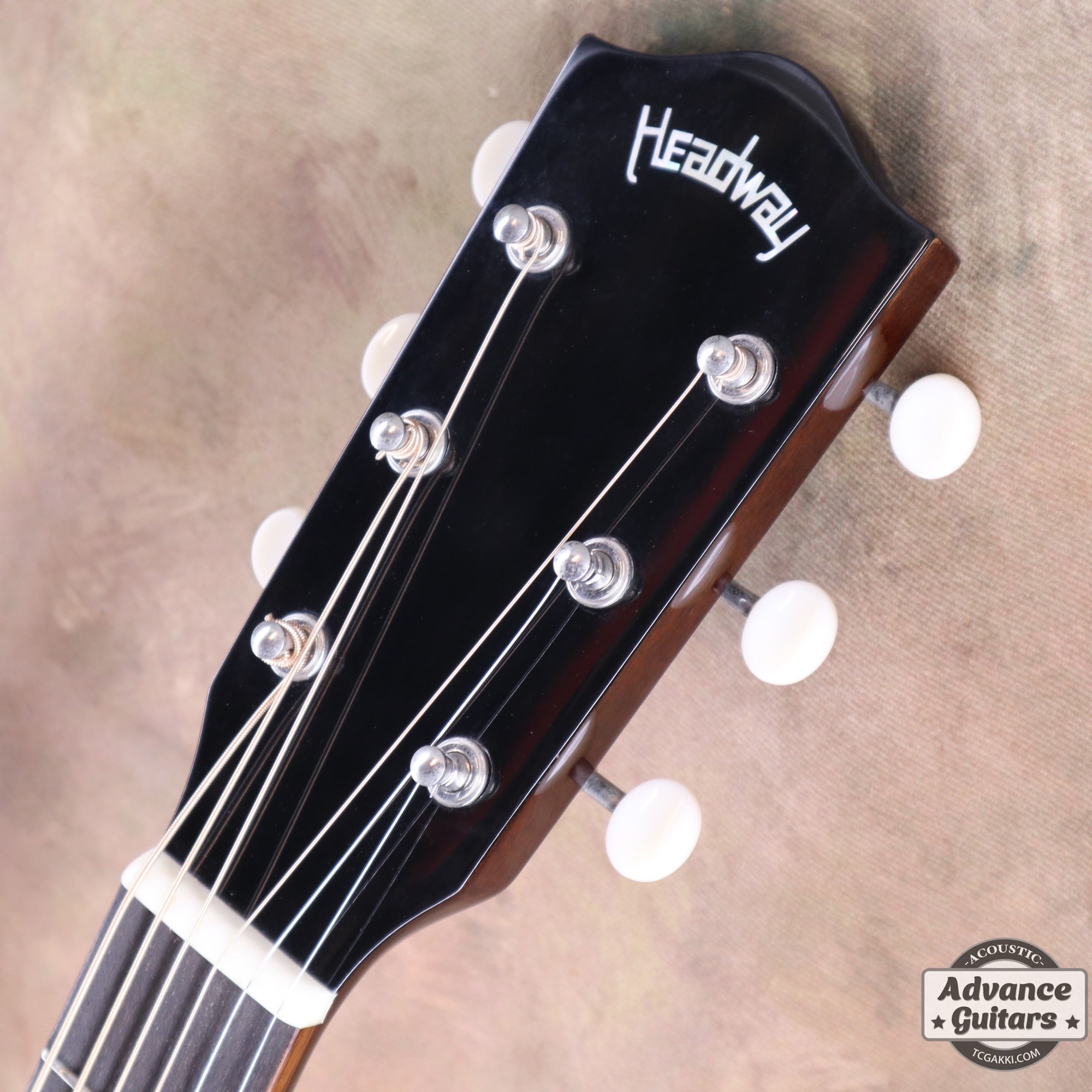 HL - V085SE - TC楽器 - TCGAKKI