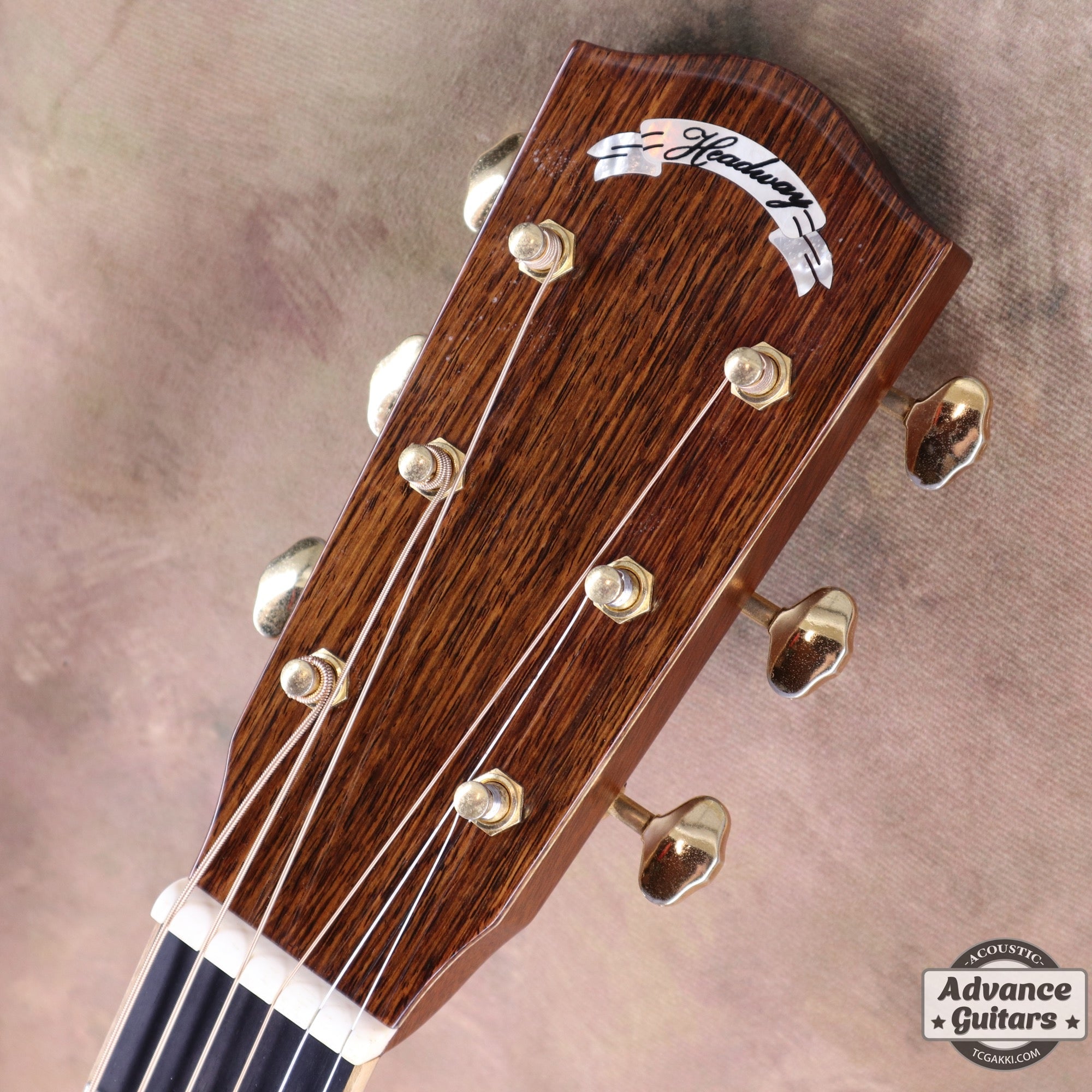 HO - 445 2004 Limited Edition - TC楽器 - TCGAKKI