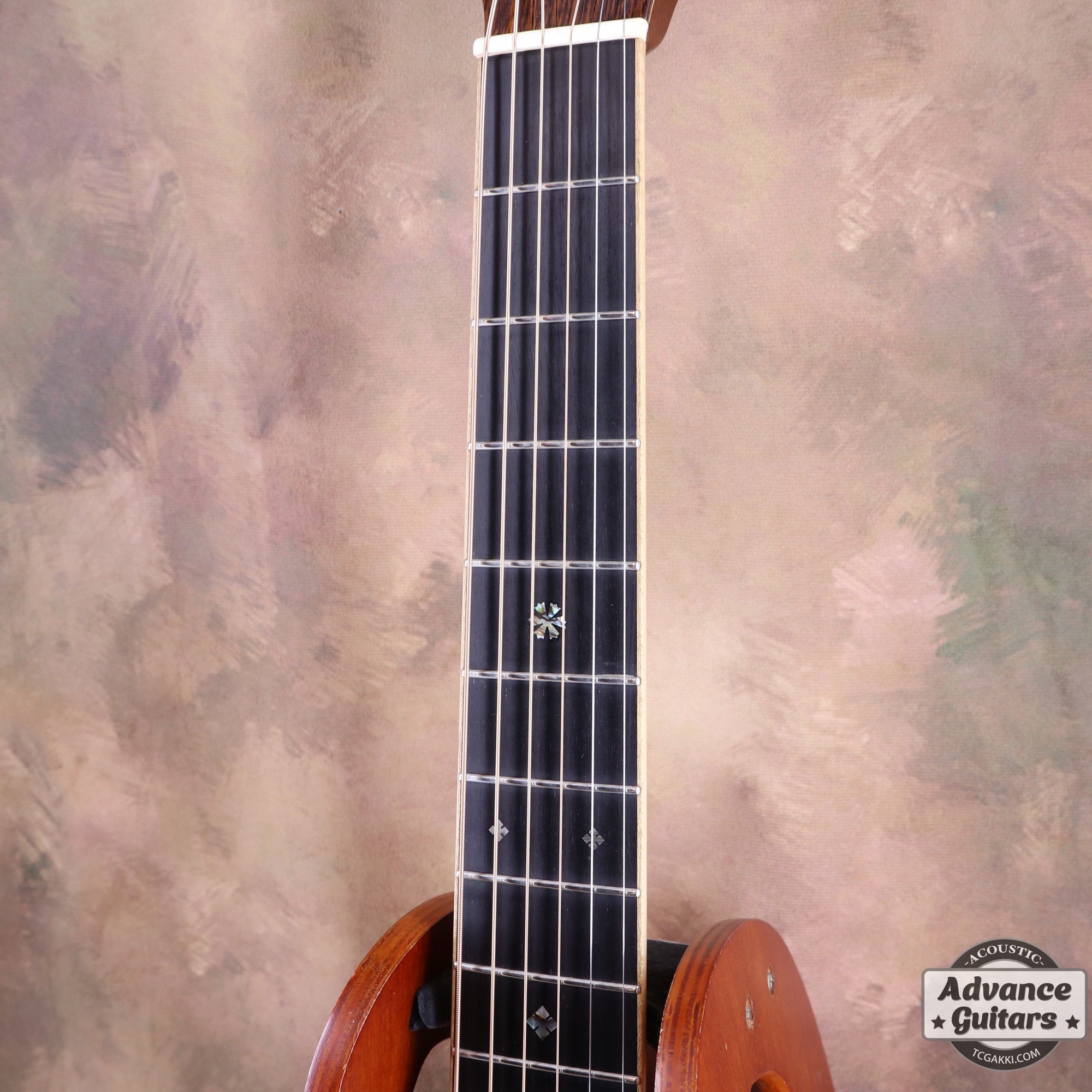 HO - 445 2004 Limited Edition - TC楽器 - TCGAKKI