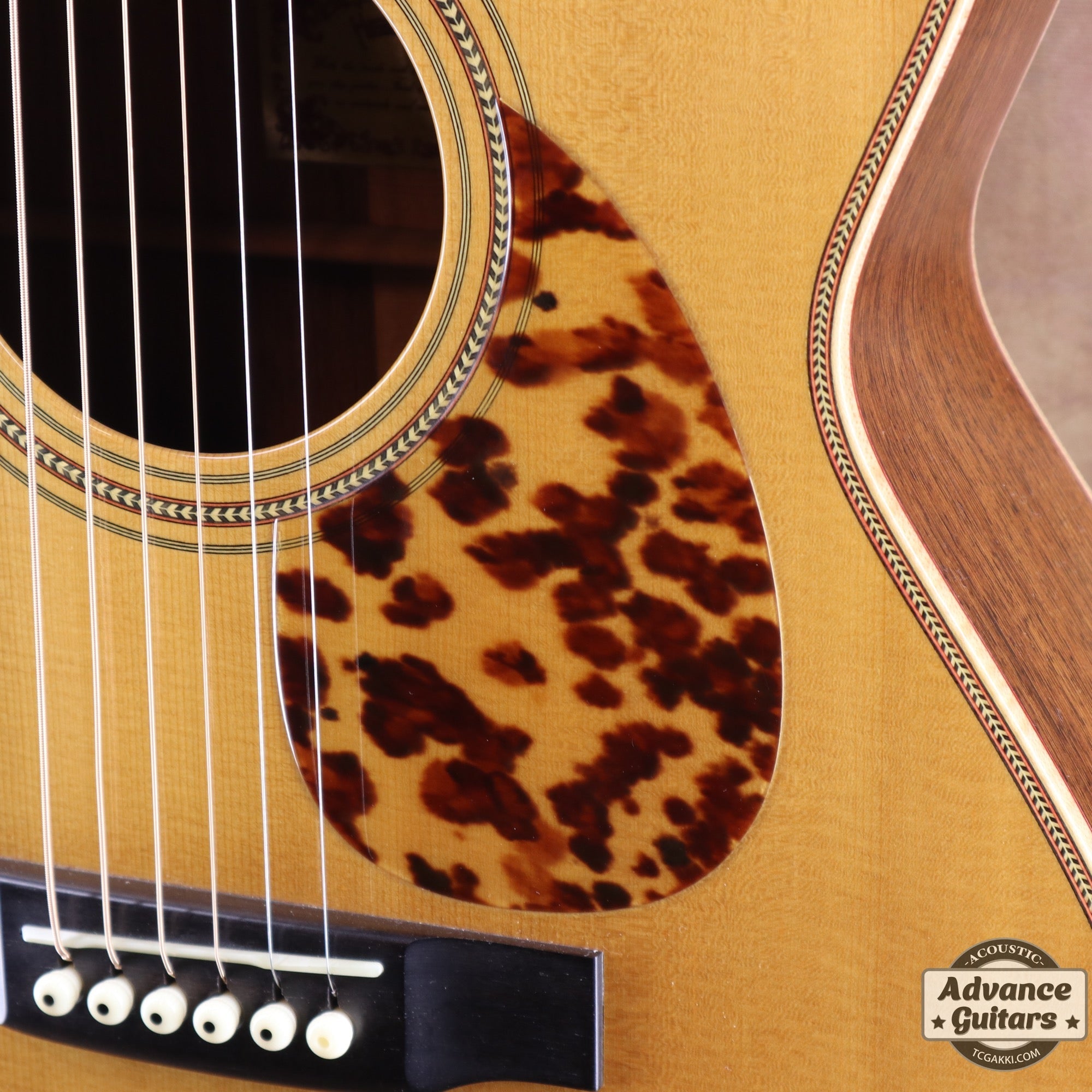 HO - 445 2004 Limited Edition - TC楽器 - TCGAKKI