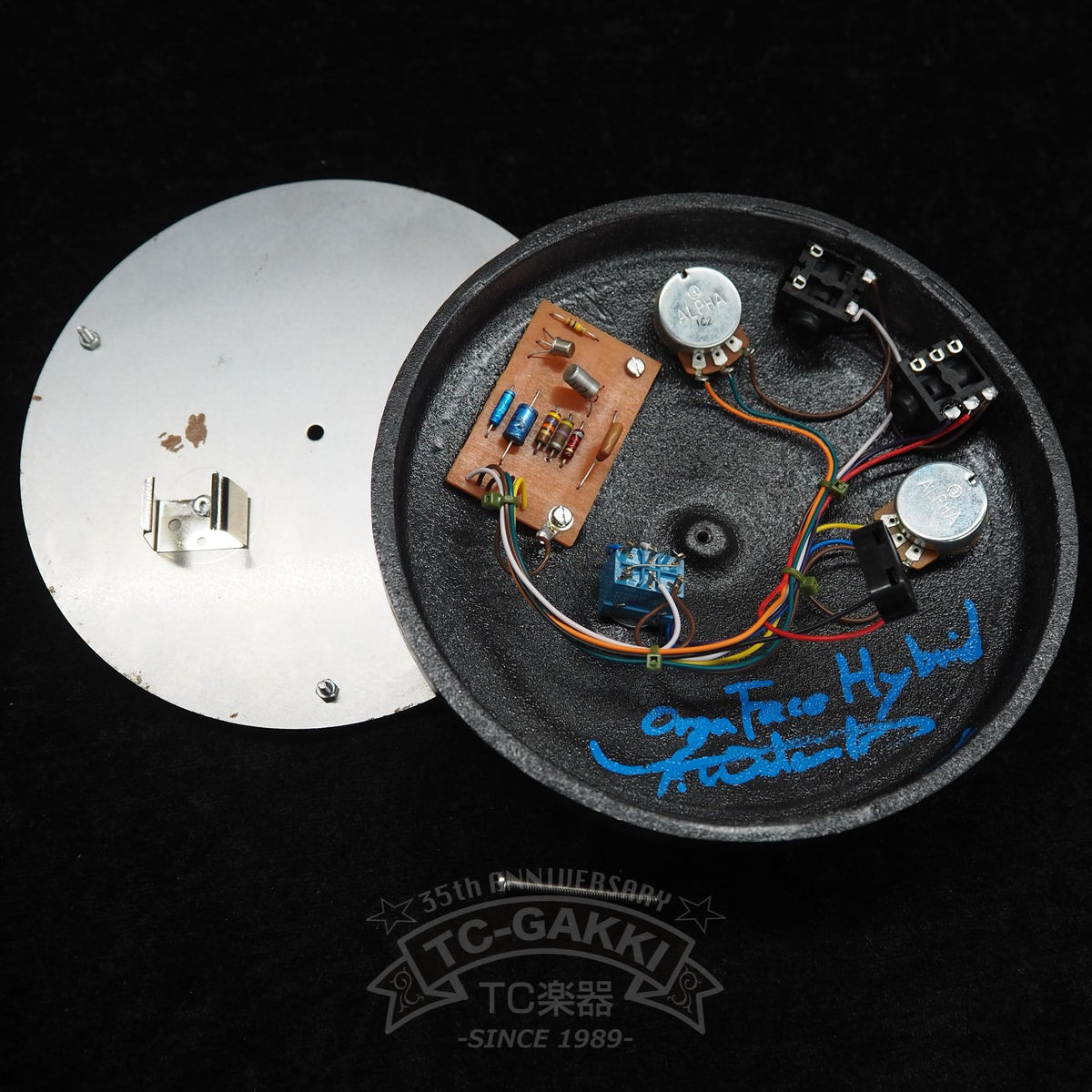 [HOLD] Organic Sounds ORGA FACE HY Aged (NEW) - TC楽器 - TCGAKKI