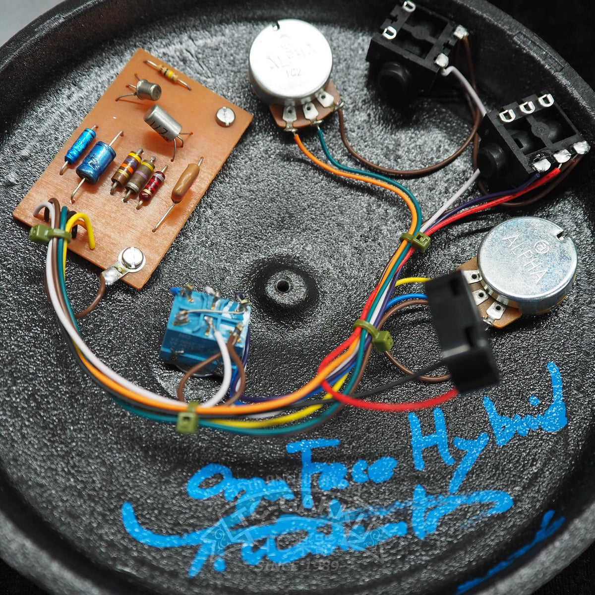 [HOLD] Organic Sounds ORGA FACE HY Aged (NEW) - TC楽器 - TCGAKKI