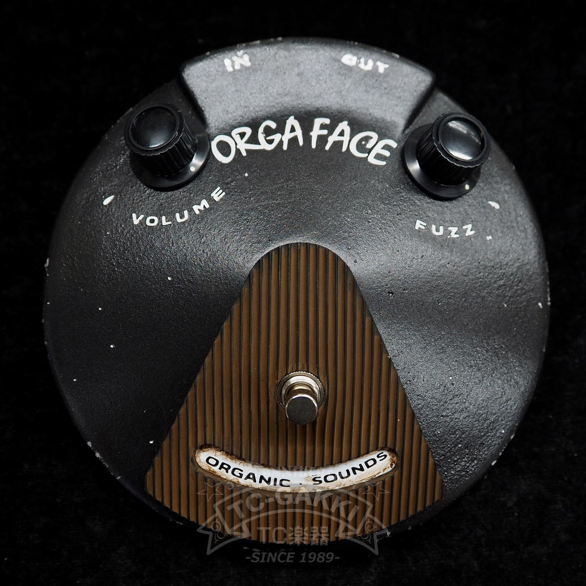 [HOLD] Organic Sounds ORGA FACE HY Aged (NEW) - TC楽器 - TCGAKKI