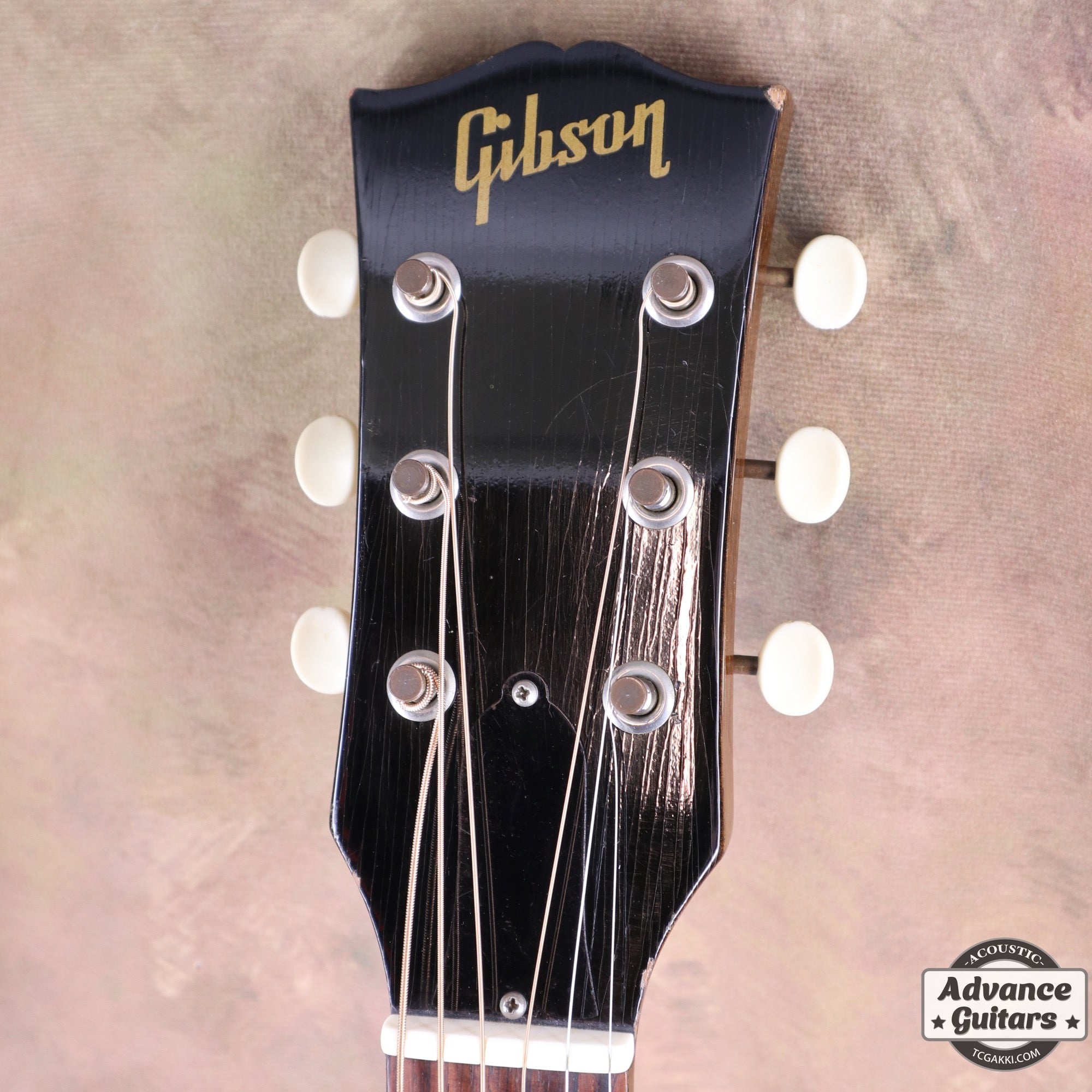 ジャンク品　エレキギター Gibson Theodore Standard (Ebony) ｜イケベ楽器店オンラインストア