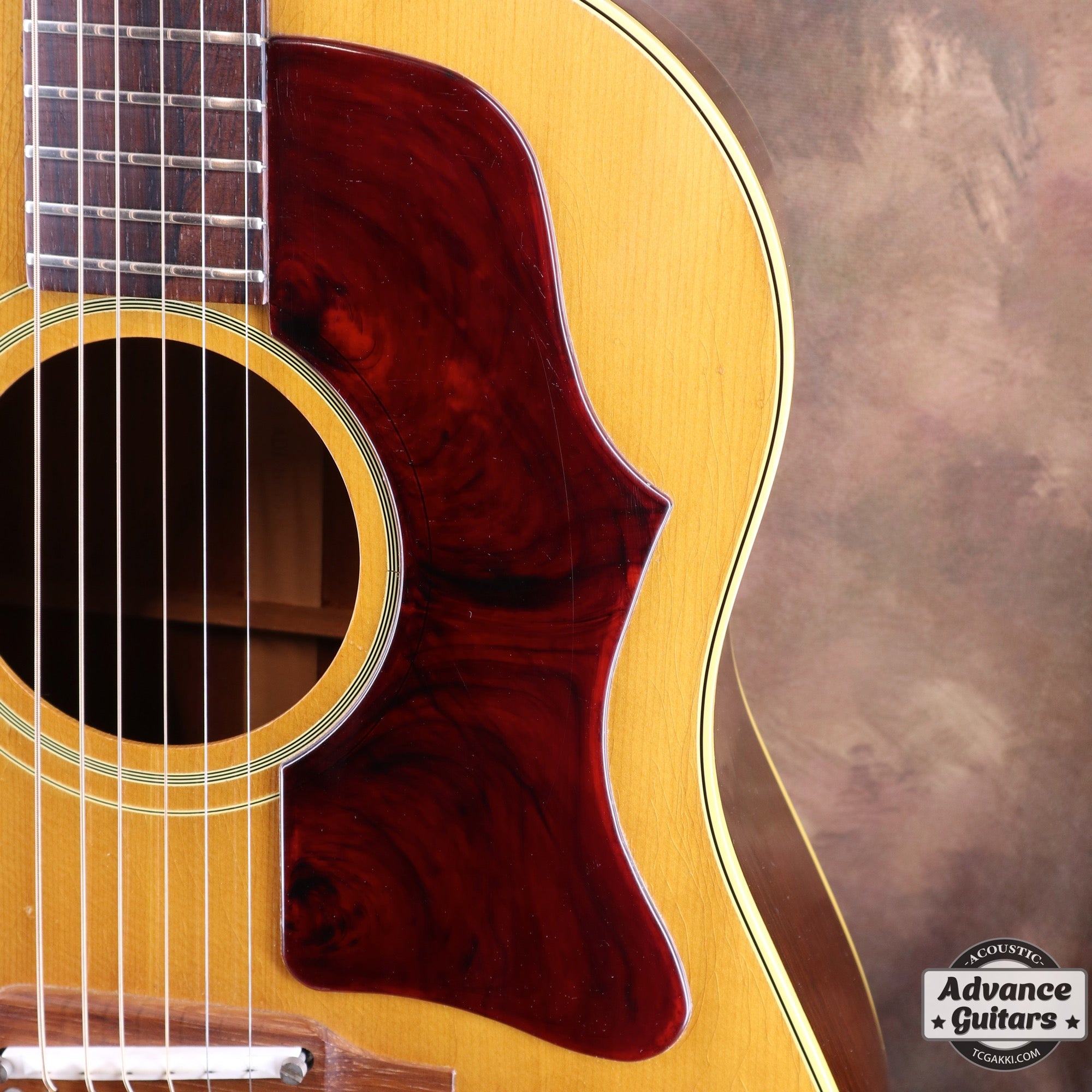 <HOLD>1964年製 J - 50 - TC楽器 - TCGAKKI