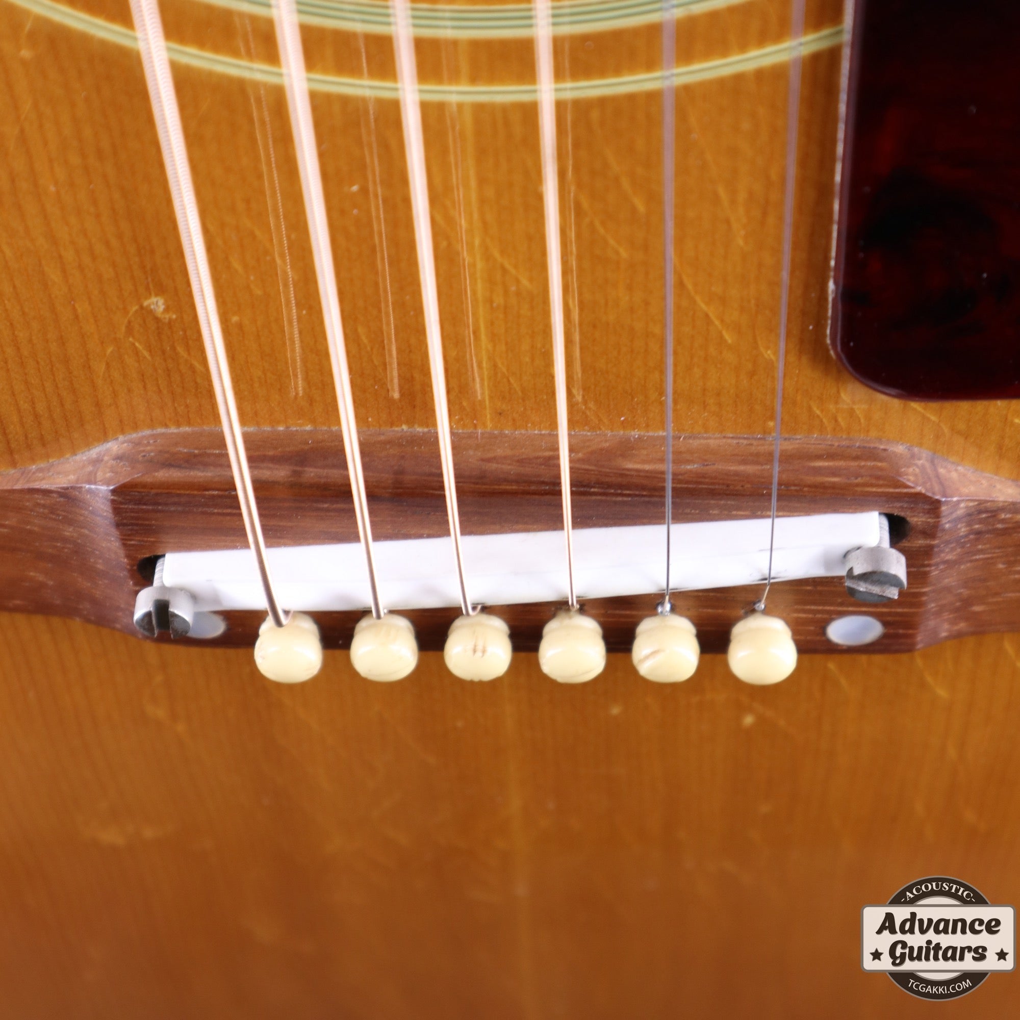 <HOLD>1964年製 J - 50 - TC楽器 - TCGAKKI