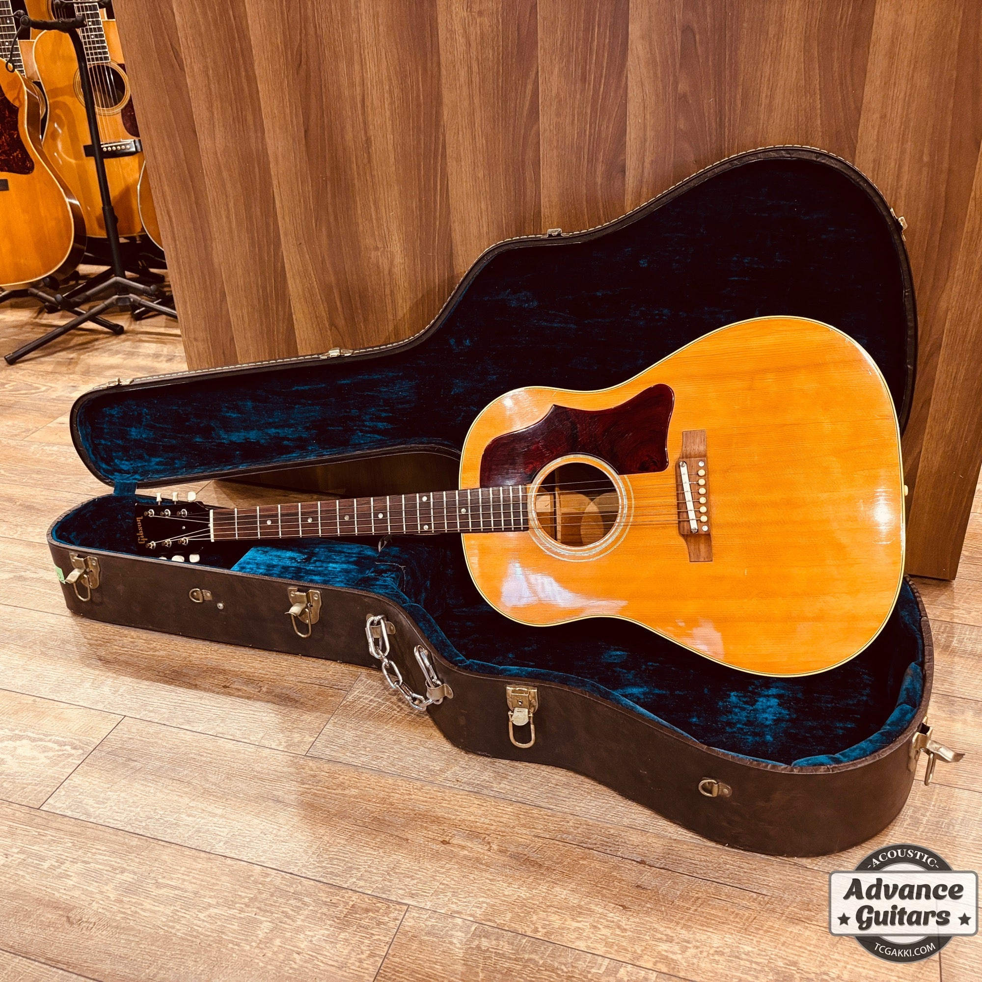 <HOLD>1964年製 J - 50 - TC楽器 - TCGAKKI