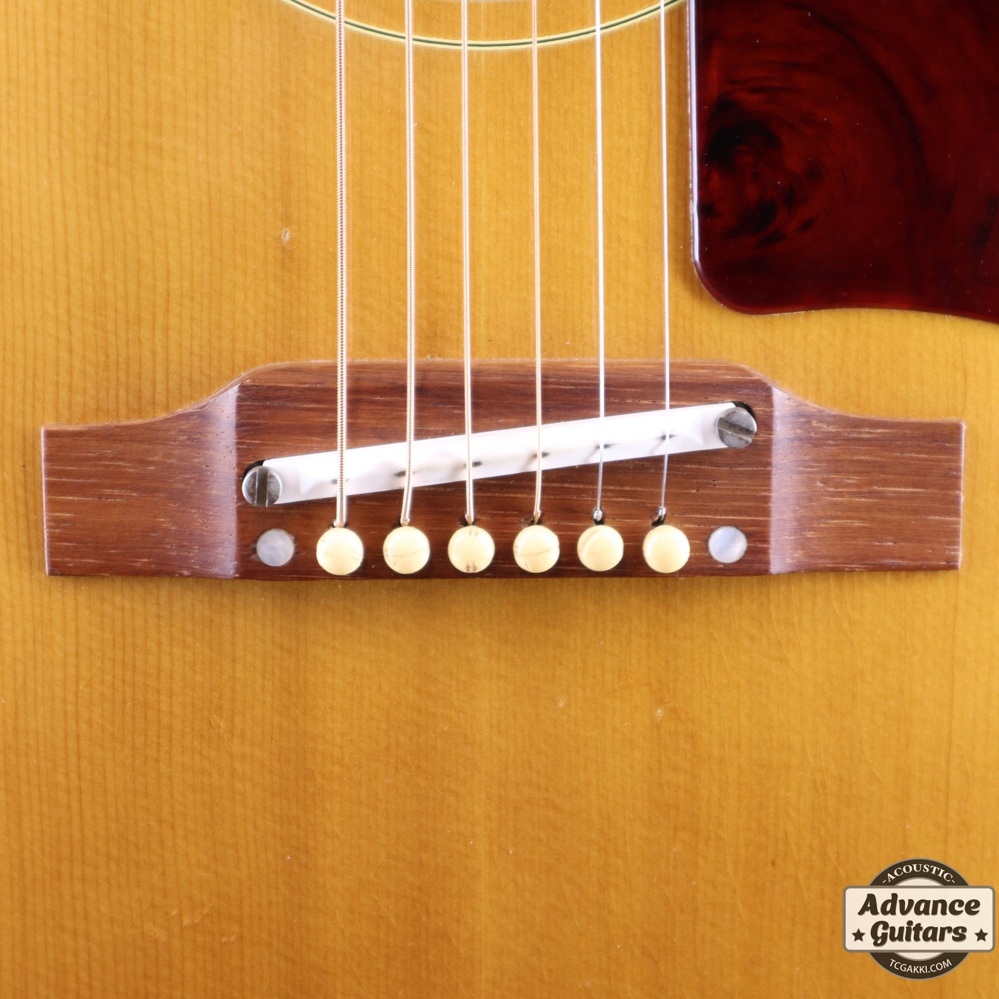 <HOLD>1964年製 J - 50 - TC楽器 - TCGAKKI