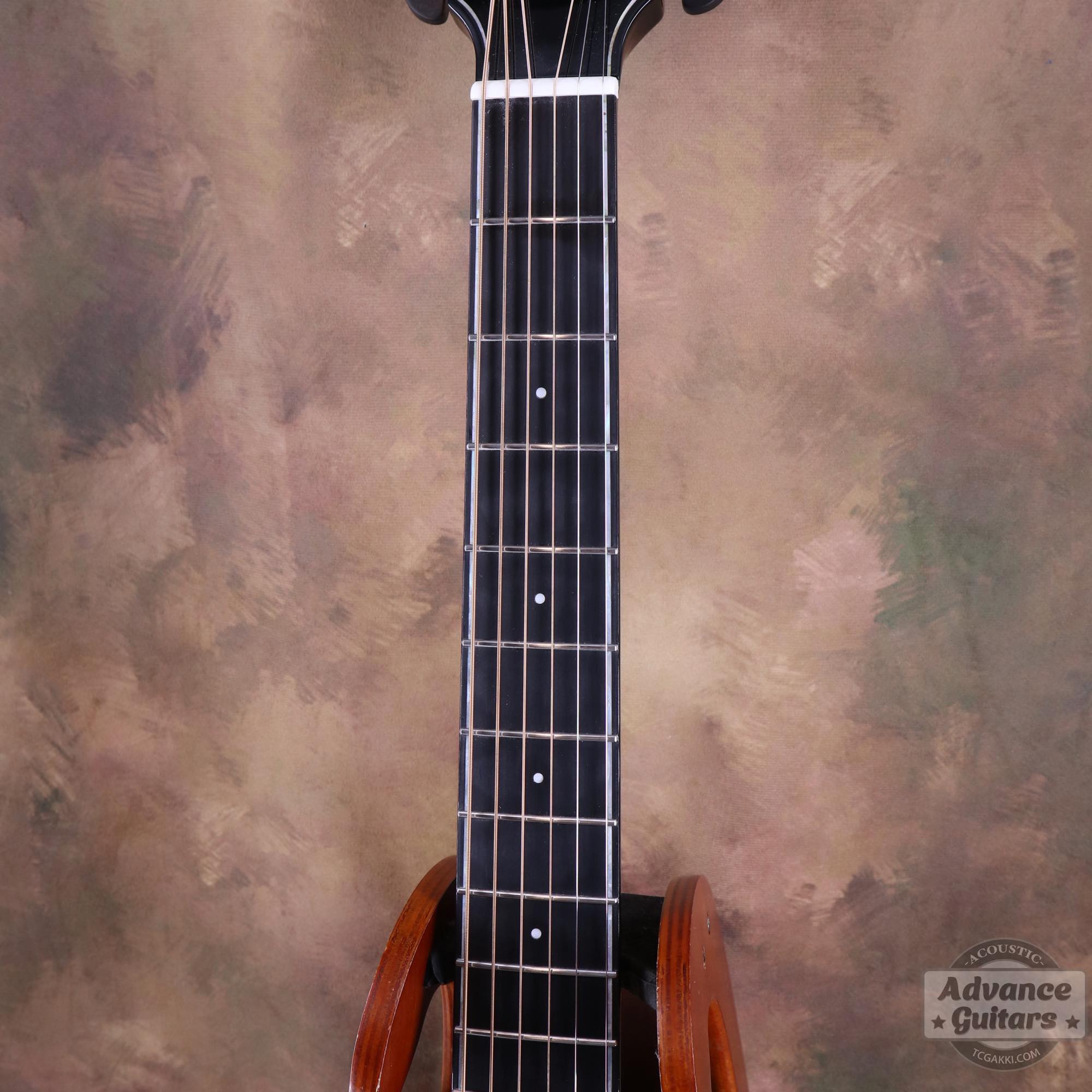 <HOLD>Black hole - EQ - TC楽器 - TCGAKKI