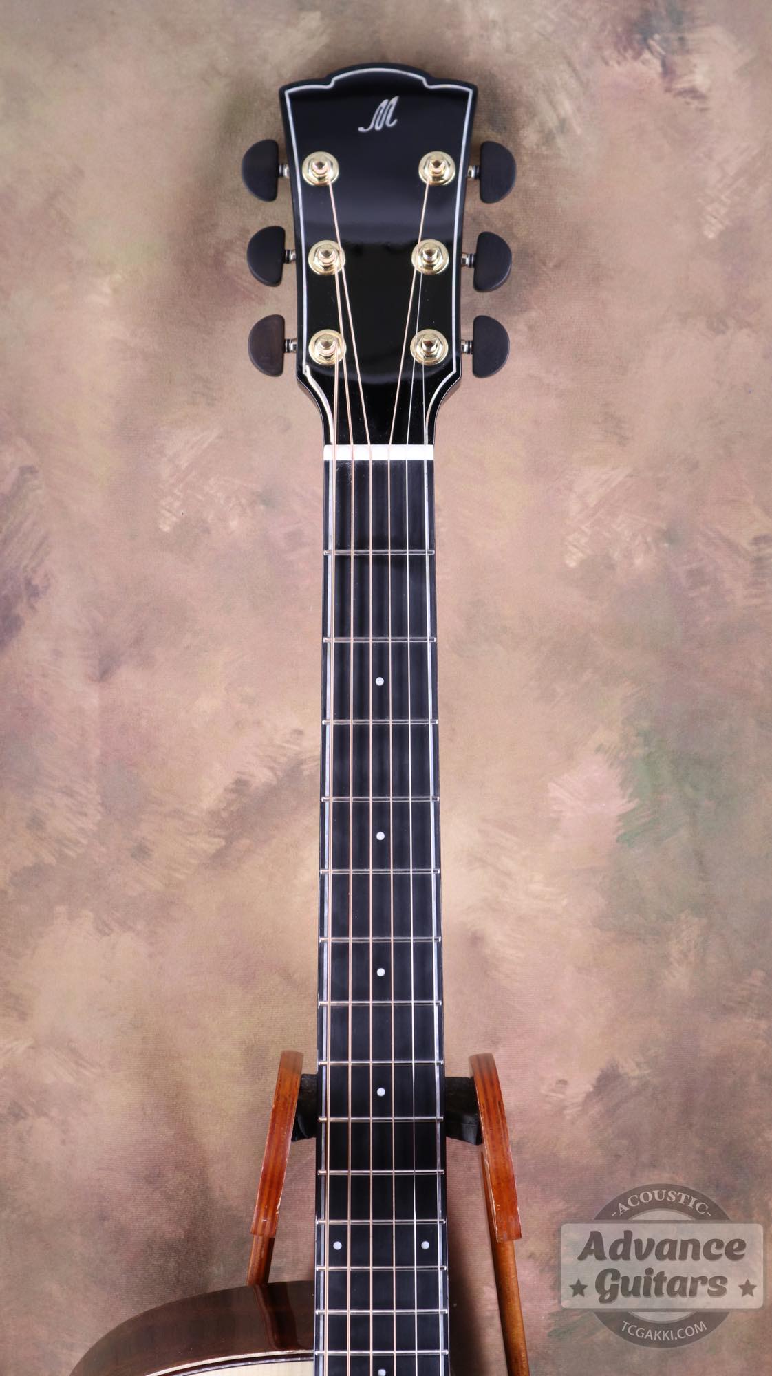 <HOLD>Black hole - EQ - TC楽器 - TCGAKKI