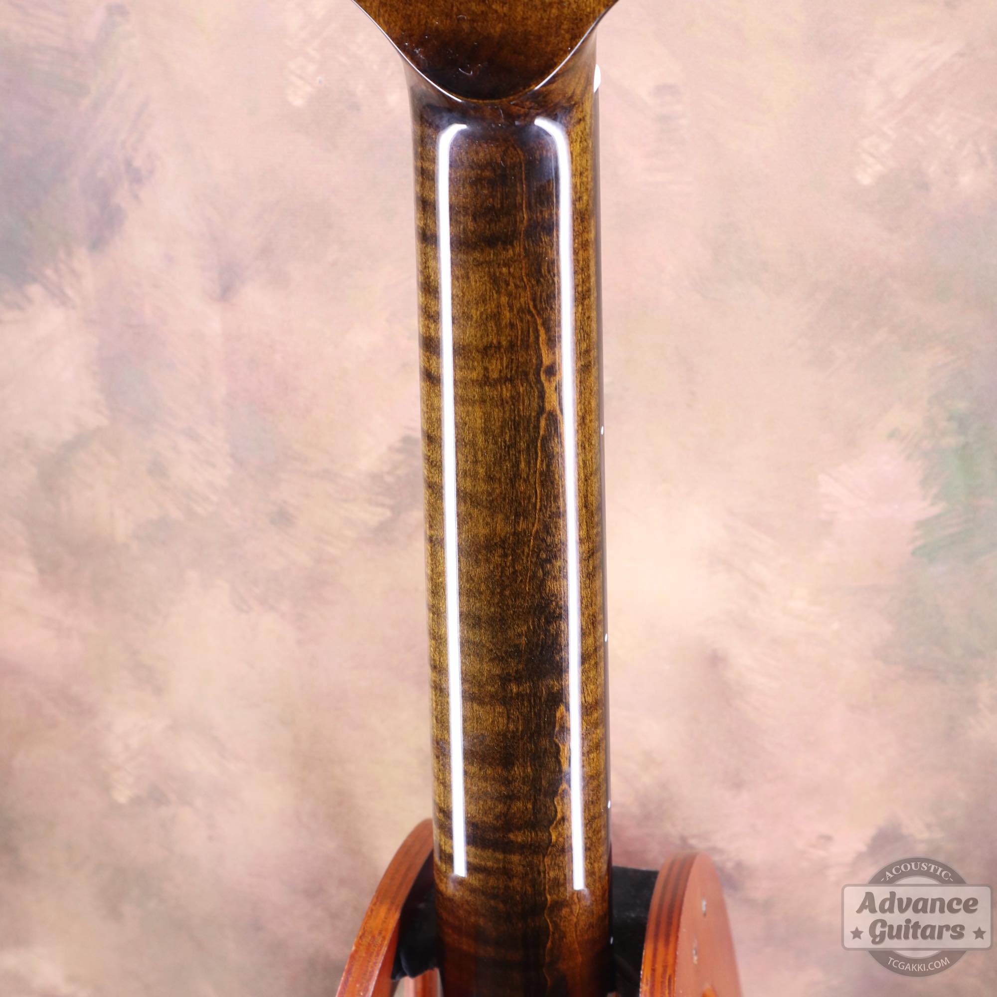 <HOLD>Black hole - EQ - TC楽器 - TCGAKKI