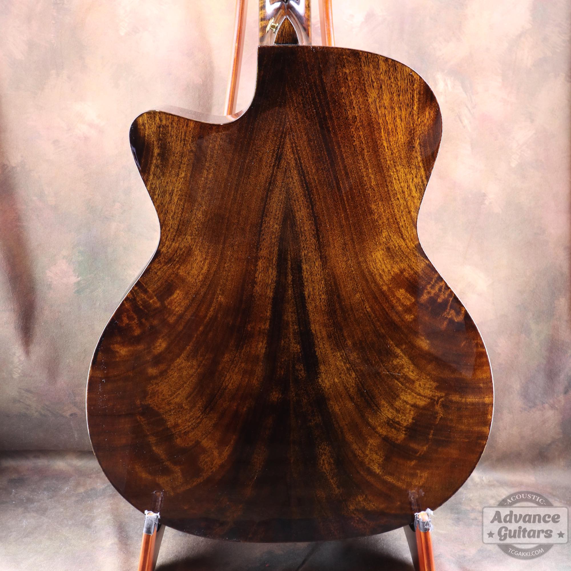 <HOLD>Black hole - EQ - TC楽器 - TCGAKKI