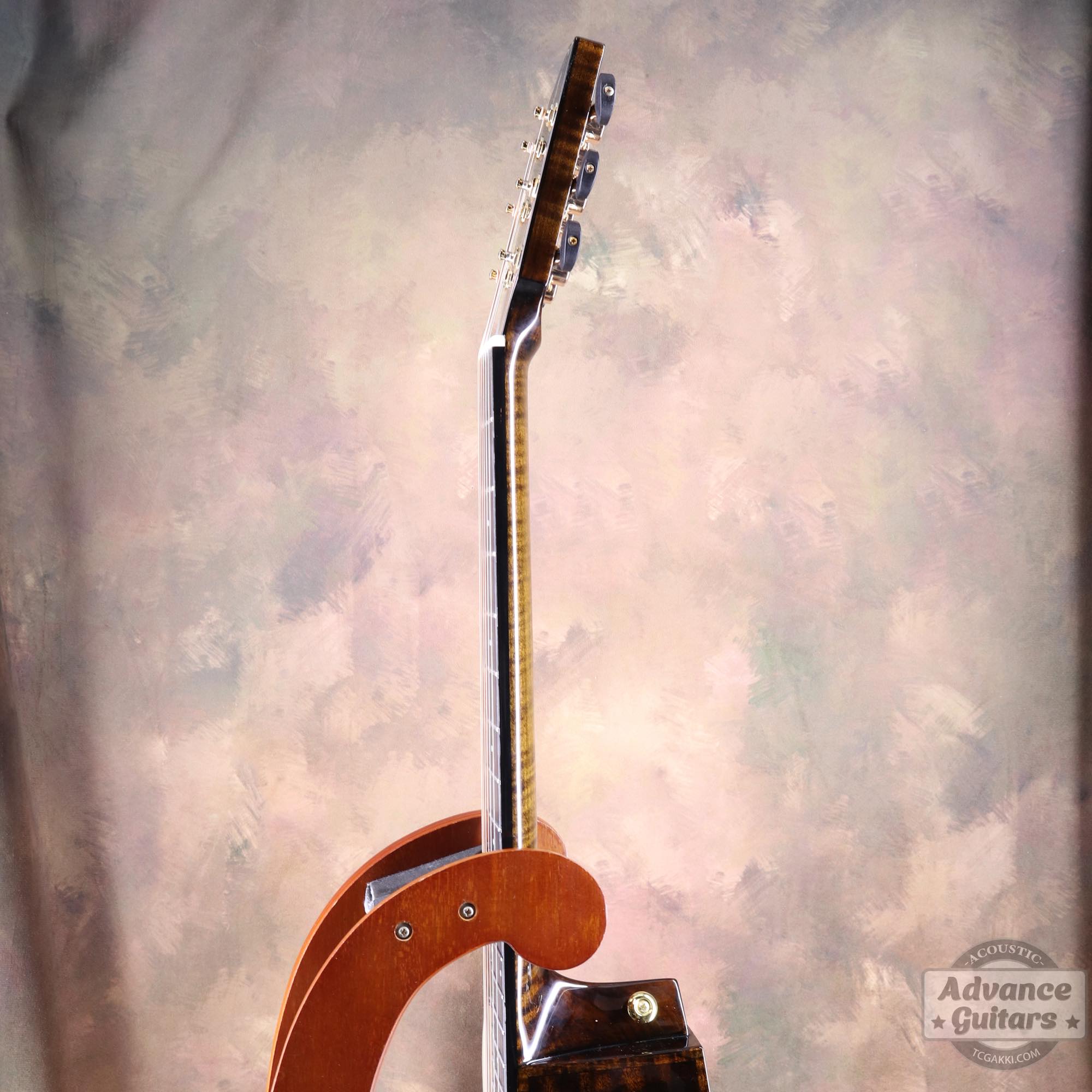 <HOLD>Black hole - EQ - TC楽器 - TCGAKKI