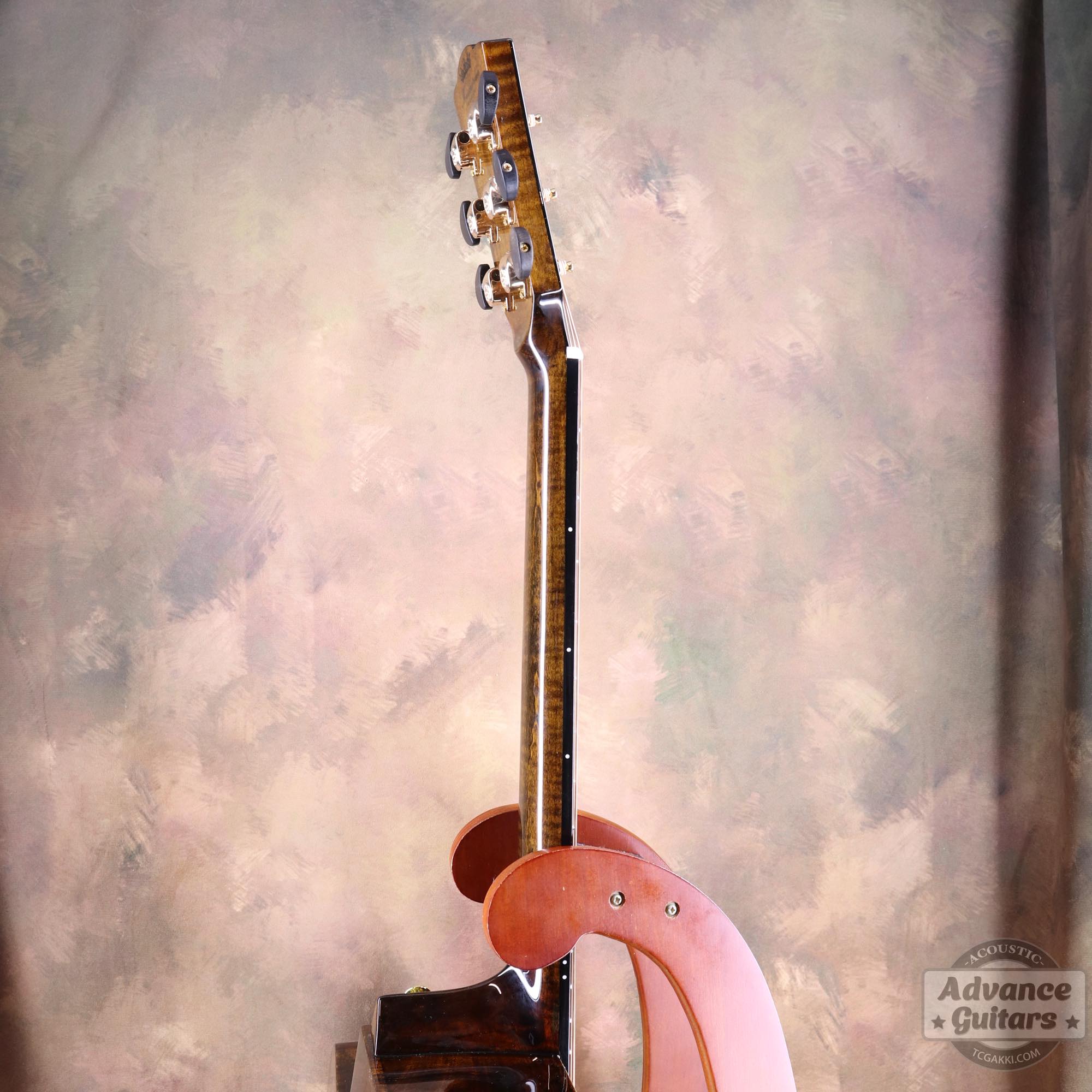 <HOLD>Black hole - EQ - TC楽器 - TCGAKKI