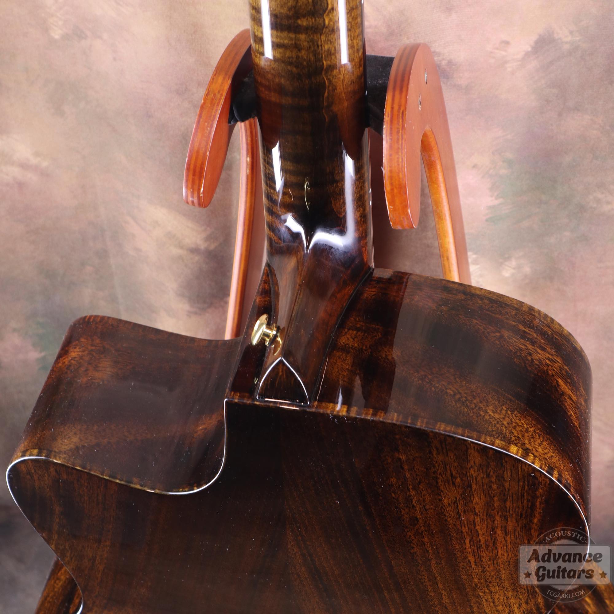 <HOLD>Black hole - EQ - TC楽器 - TCGAKKI