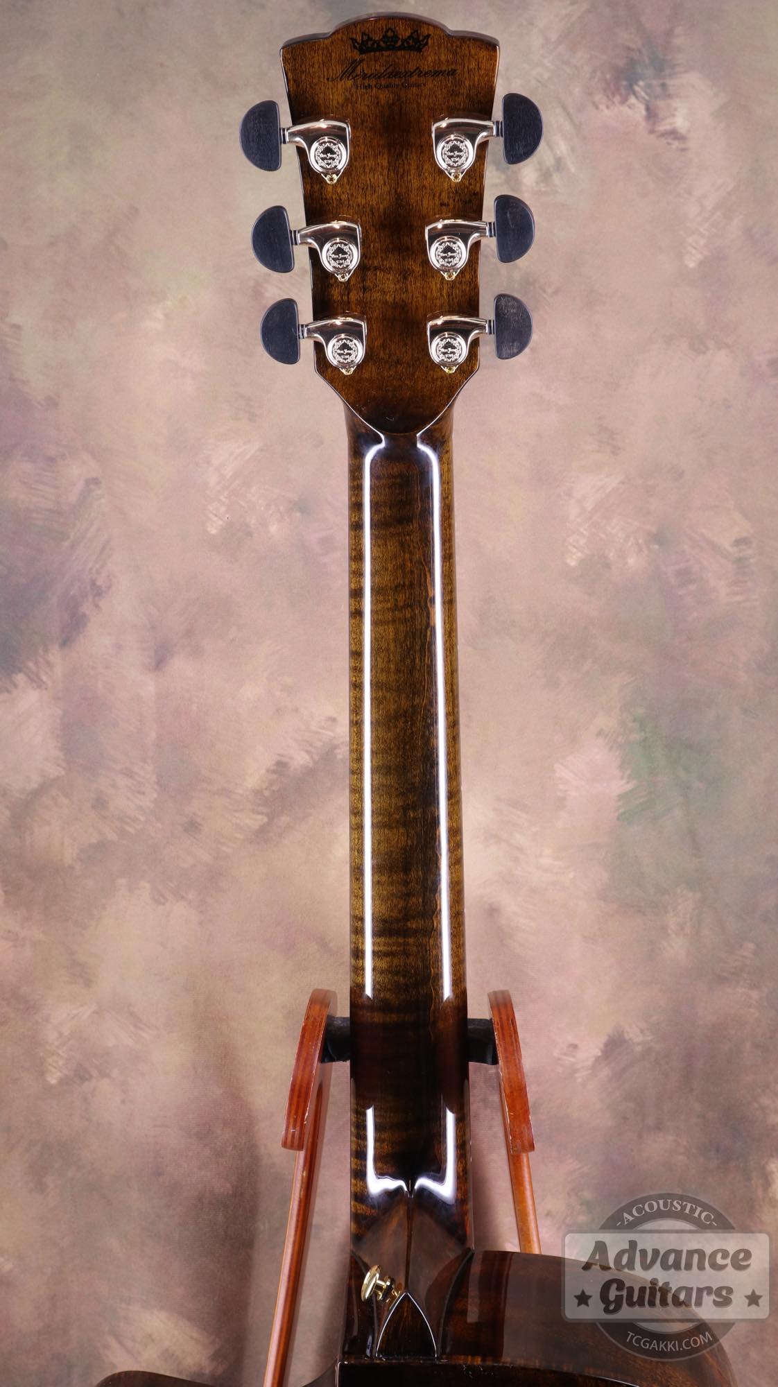 <HOLD>Black hole - EQ - TC楽器 - TCGAKKI