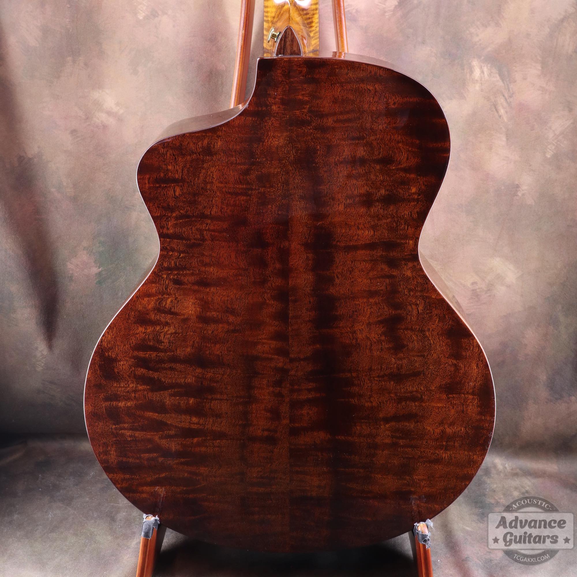 <HOLD>Cobra - EQ - TC楽器 - TCGAKKI