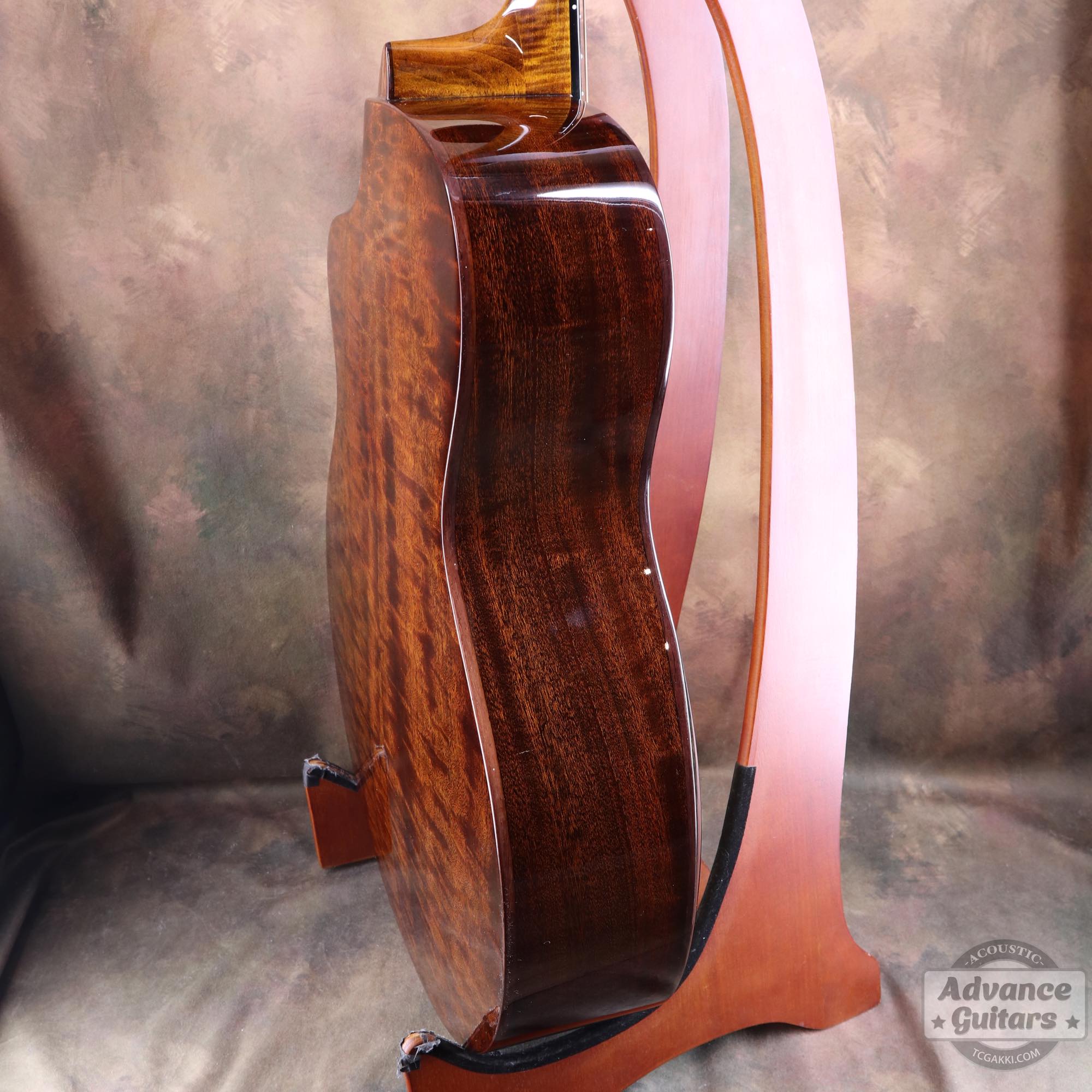 <HOLD>Cobra - EQ - TC楽器 - TCGAKKI