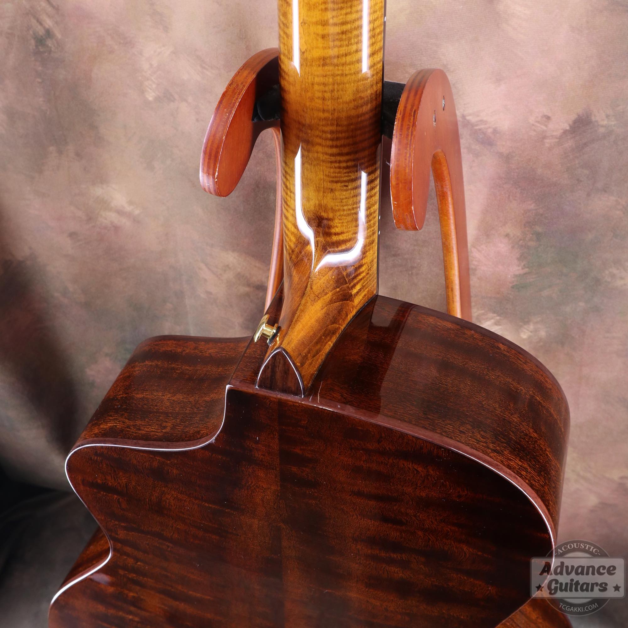 <HOLD>Cobra - EQ - TC楽器 - TCGAKKI