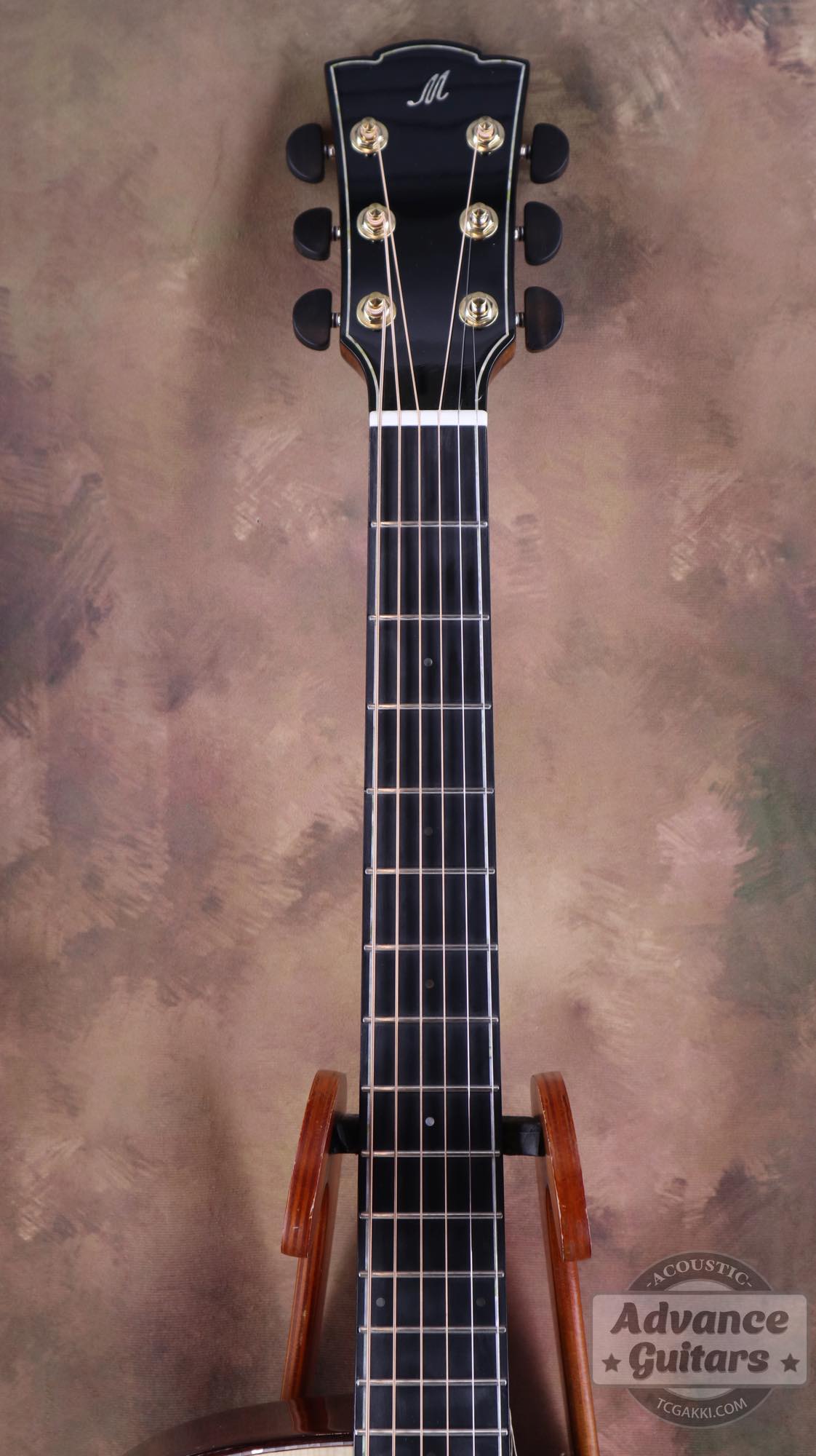 <HOLD>Cobra - EQ - TC楽器 - TCGAKKI