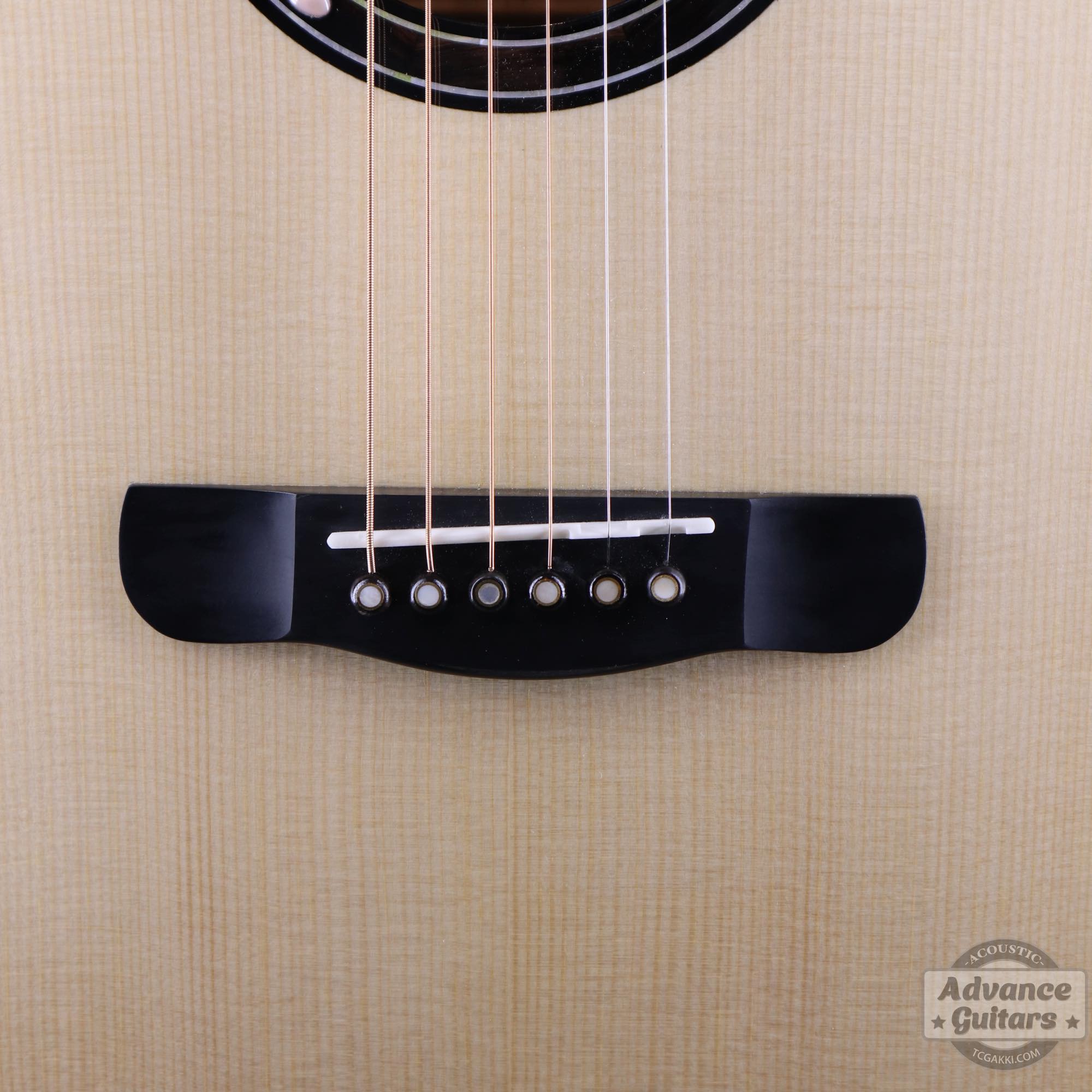 <HOLD>Cobra - EQ - TC楽器 - TCGAKKI