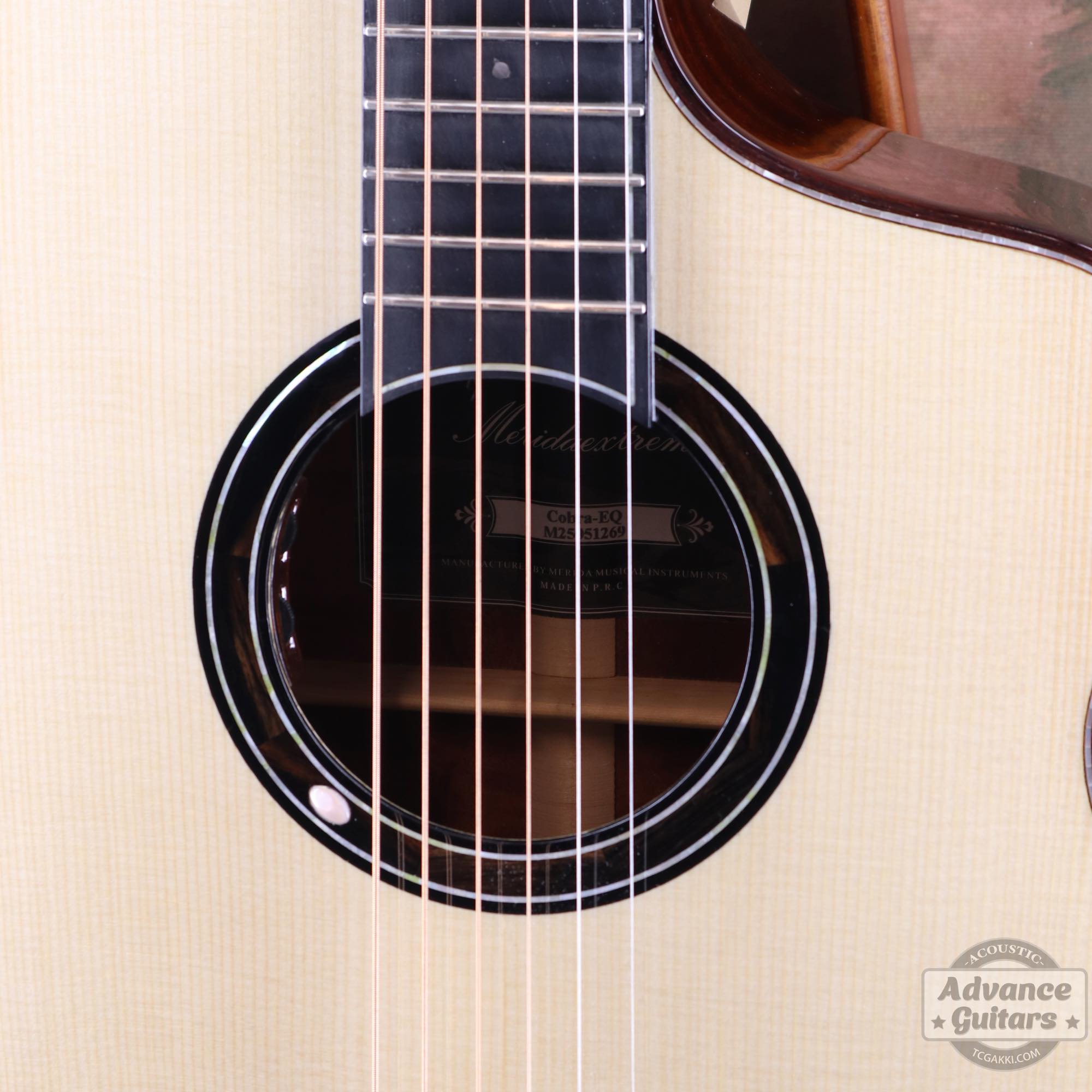 <HOLD>Cobra - EQ - TC楽器 - TCGAKKI