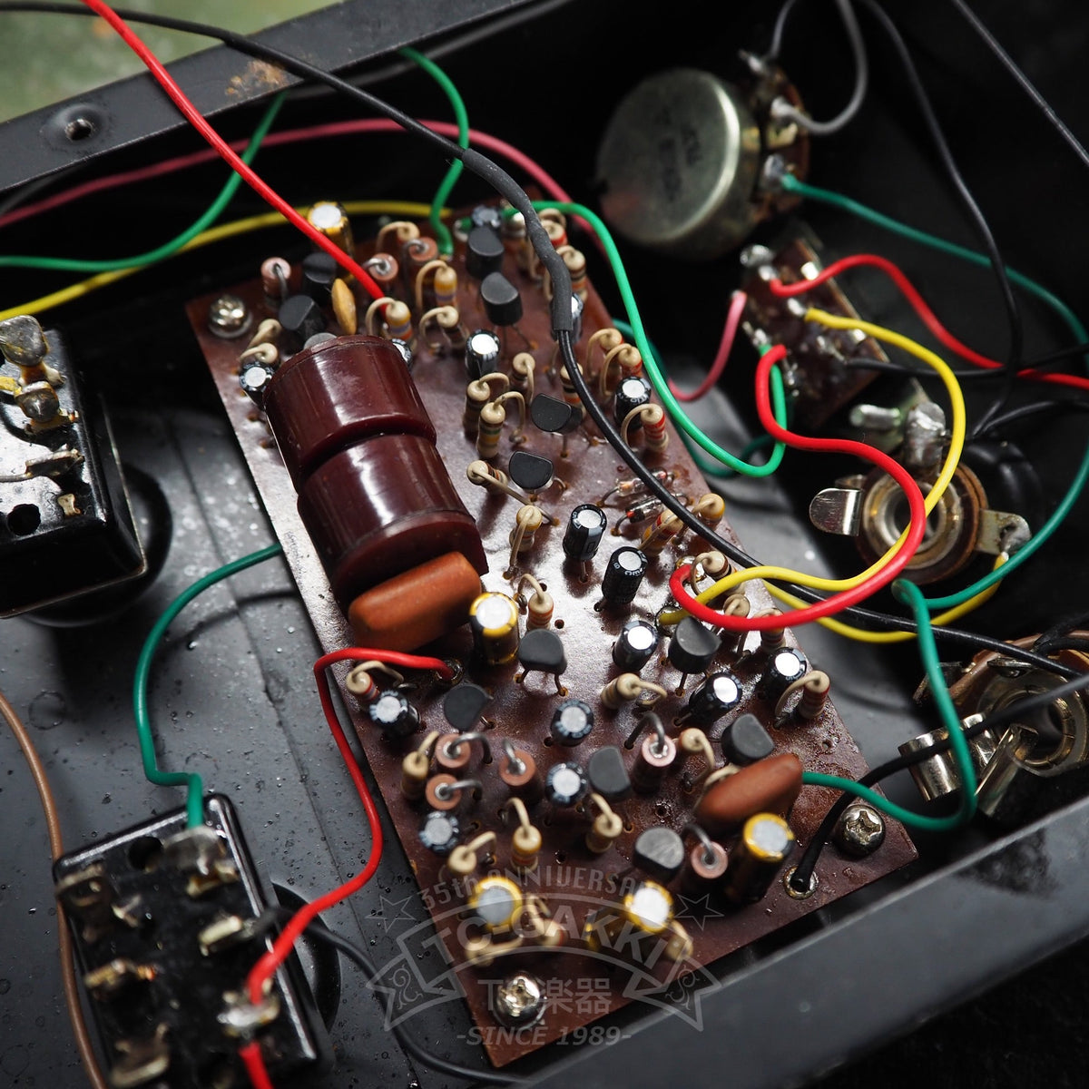 Honey Special Fuzz - TC楽器 - TCGAKKI