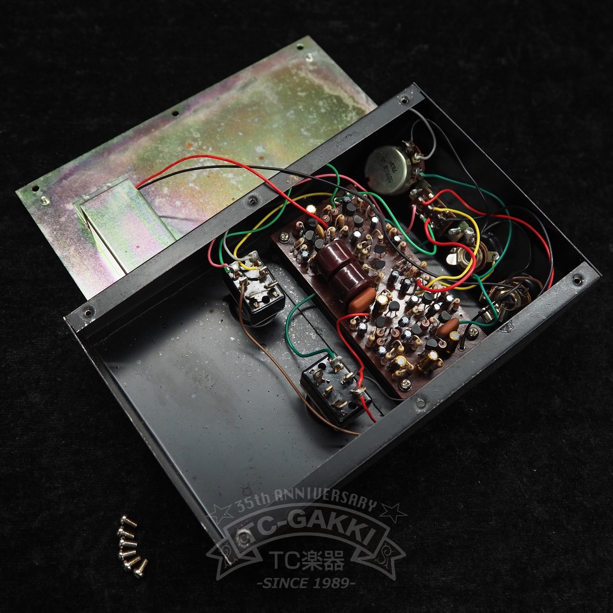 Honey Special Fuzz - TC楽器 - TCGAKKI