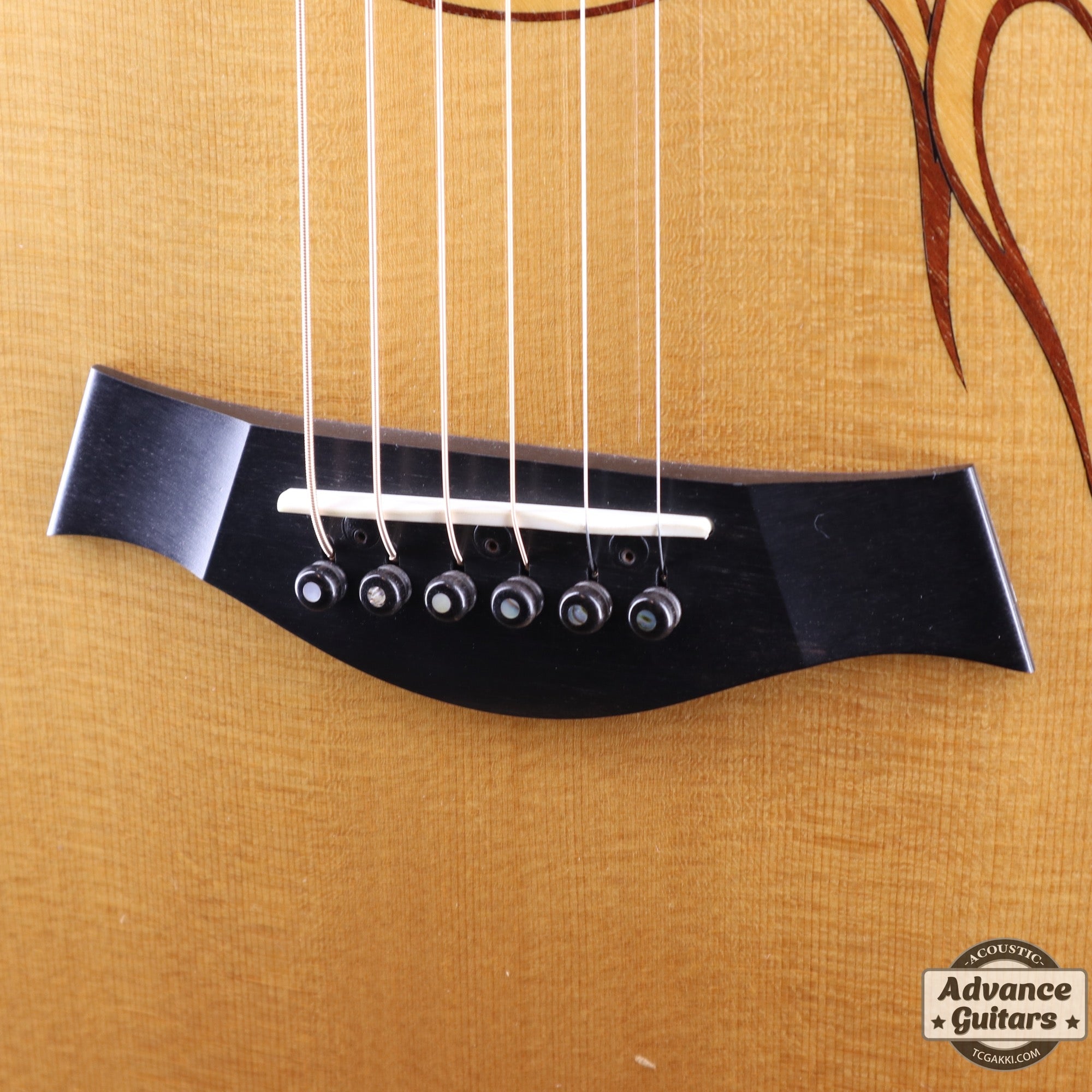 HR - LTD - TC楽器 - TCGAKKI