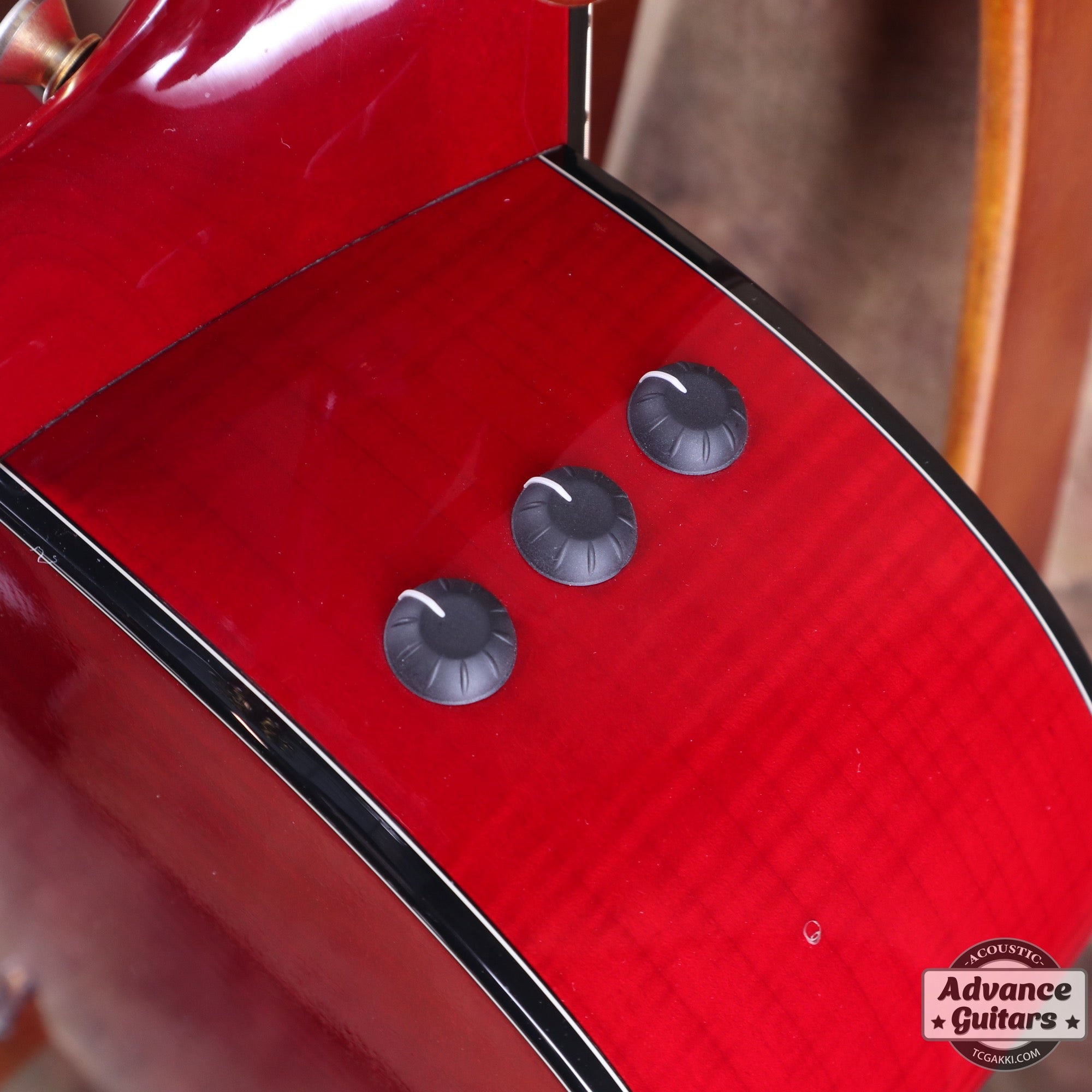 HR - LTD - TC楽器 - TCGAKKI