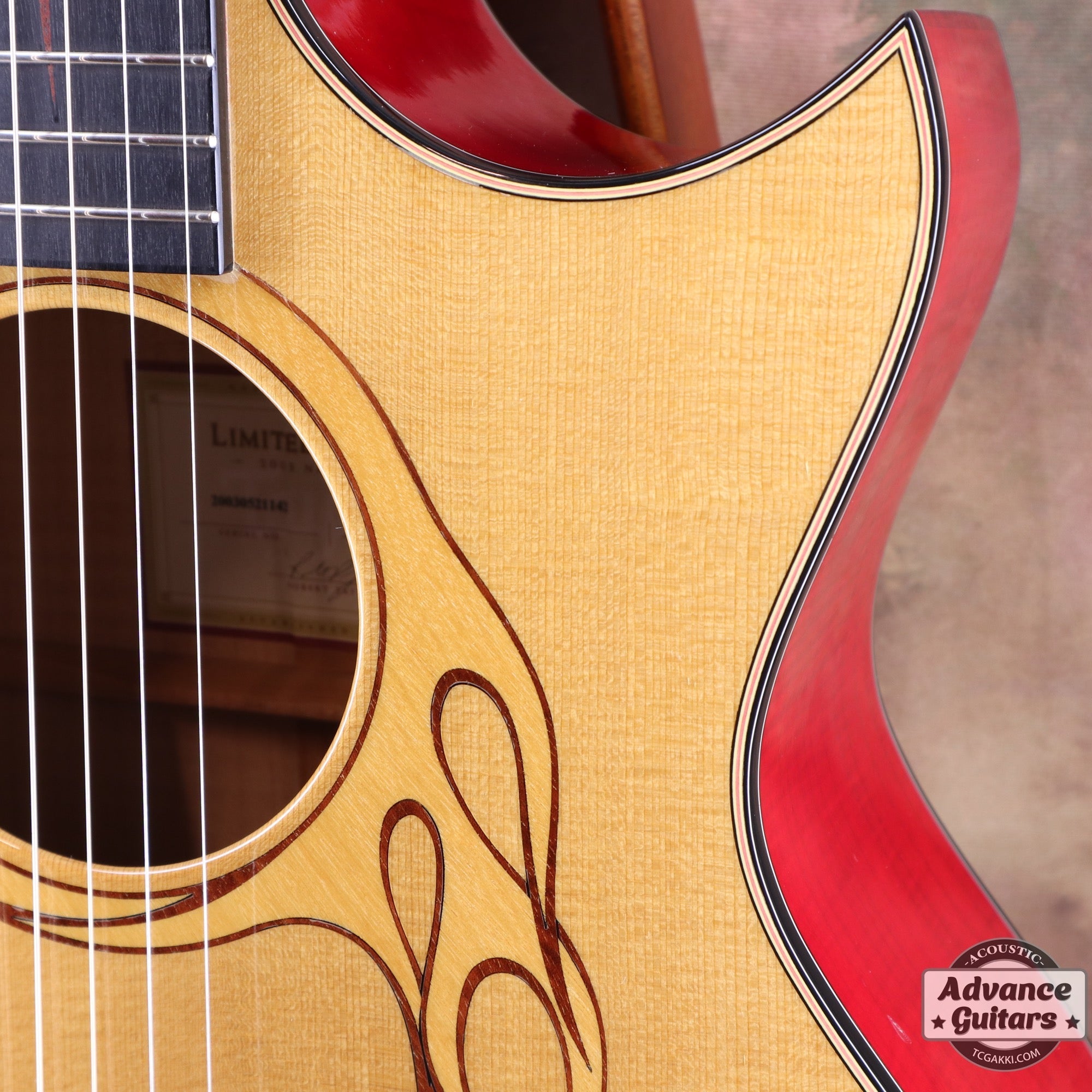 HR - LTD - TC楽器 - TCGAKKI