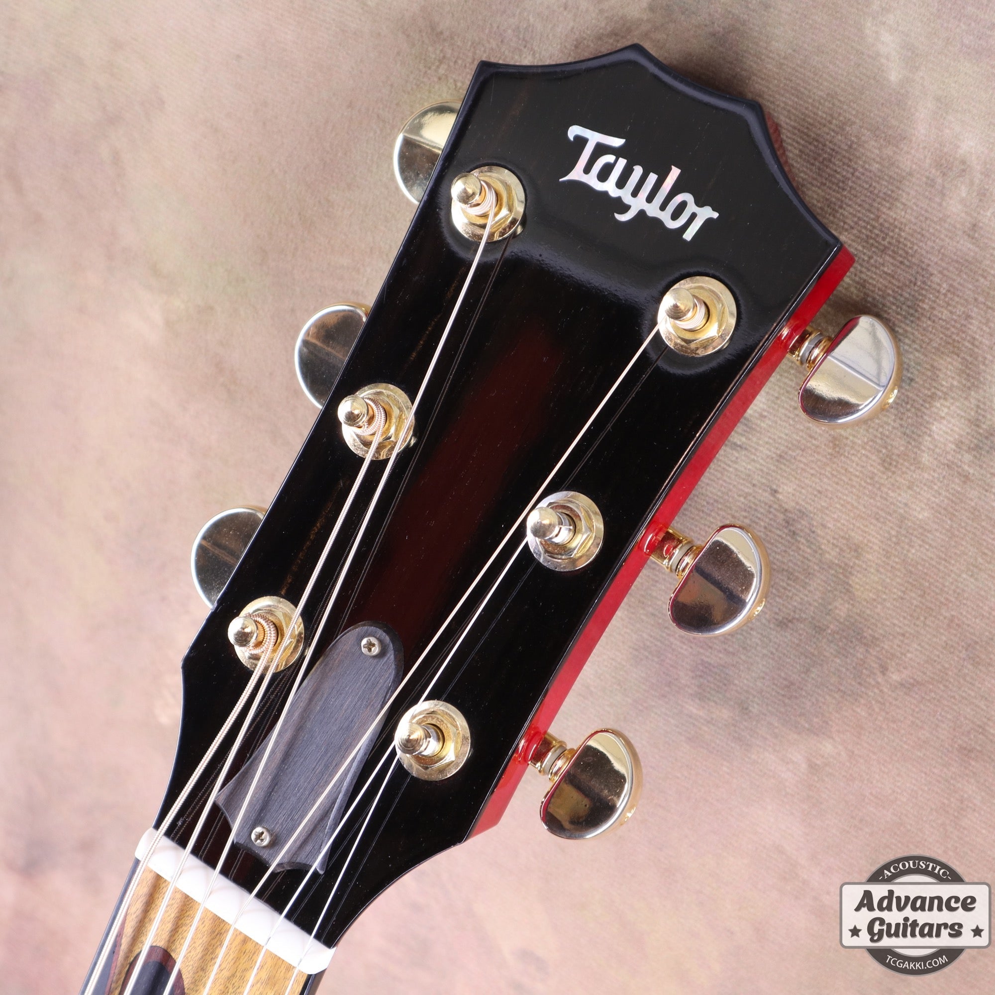 HR - LTD - TC楽器 - TCGAKKI