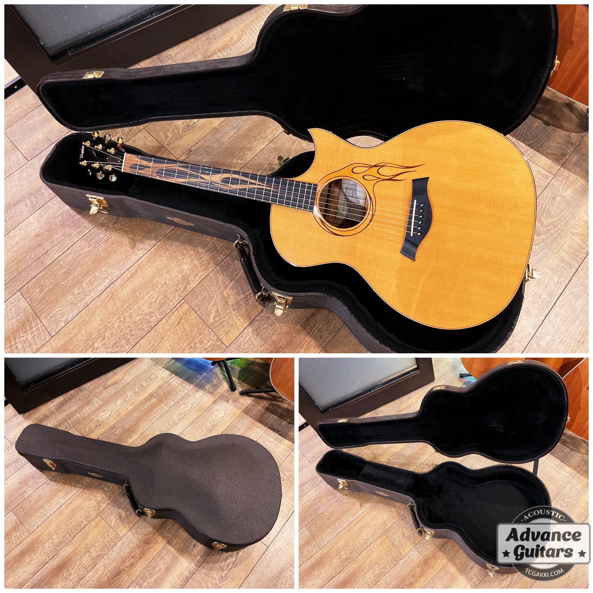 HR - LTD - TC楽器 - TCGAKKI