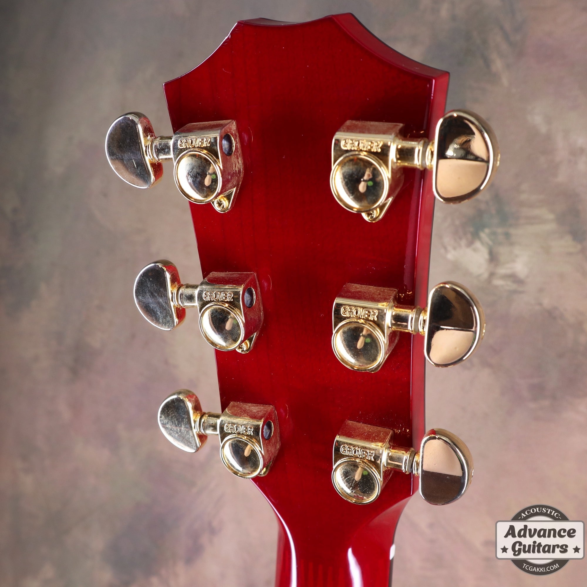 HR - LTD - TC楽器 - TCGAKKI