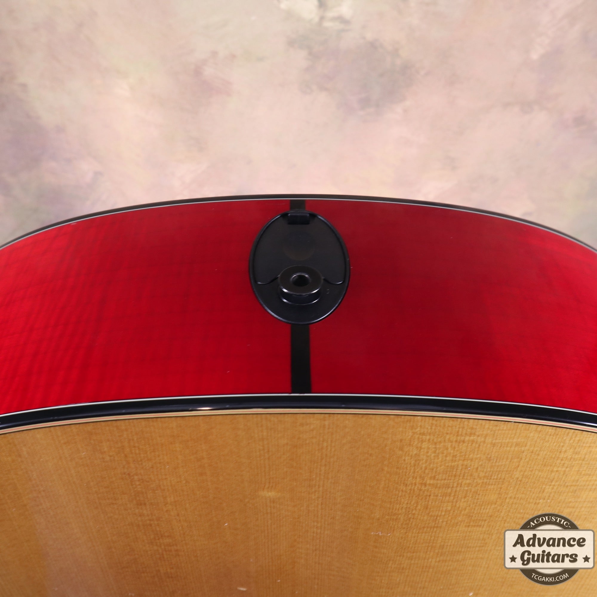 HR - LTD - TC楽器 - TCGAKKI