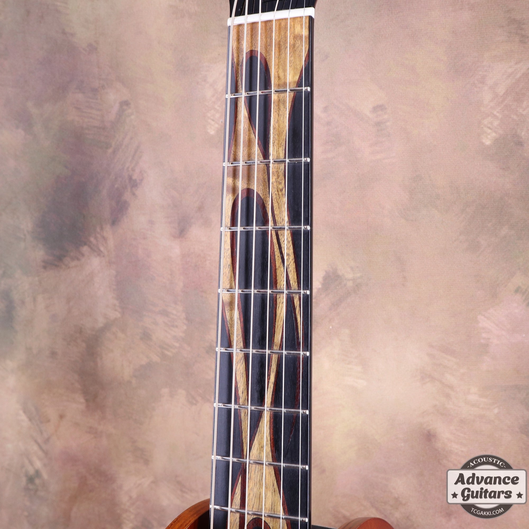 HR - LTD - TC楽器 - TCGAKKI