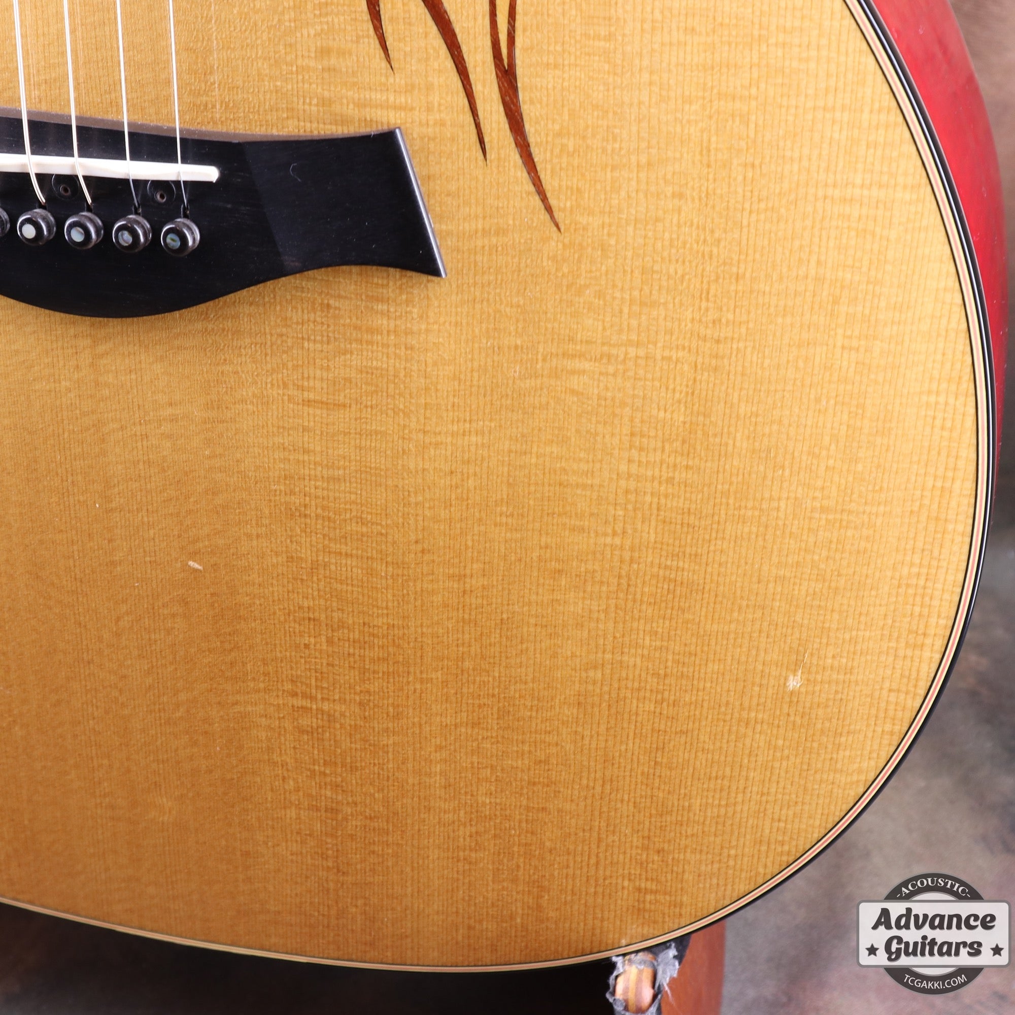 HR - LTD - TC楽器 - TCGAKKI