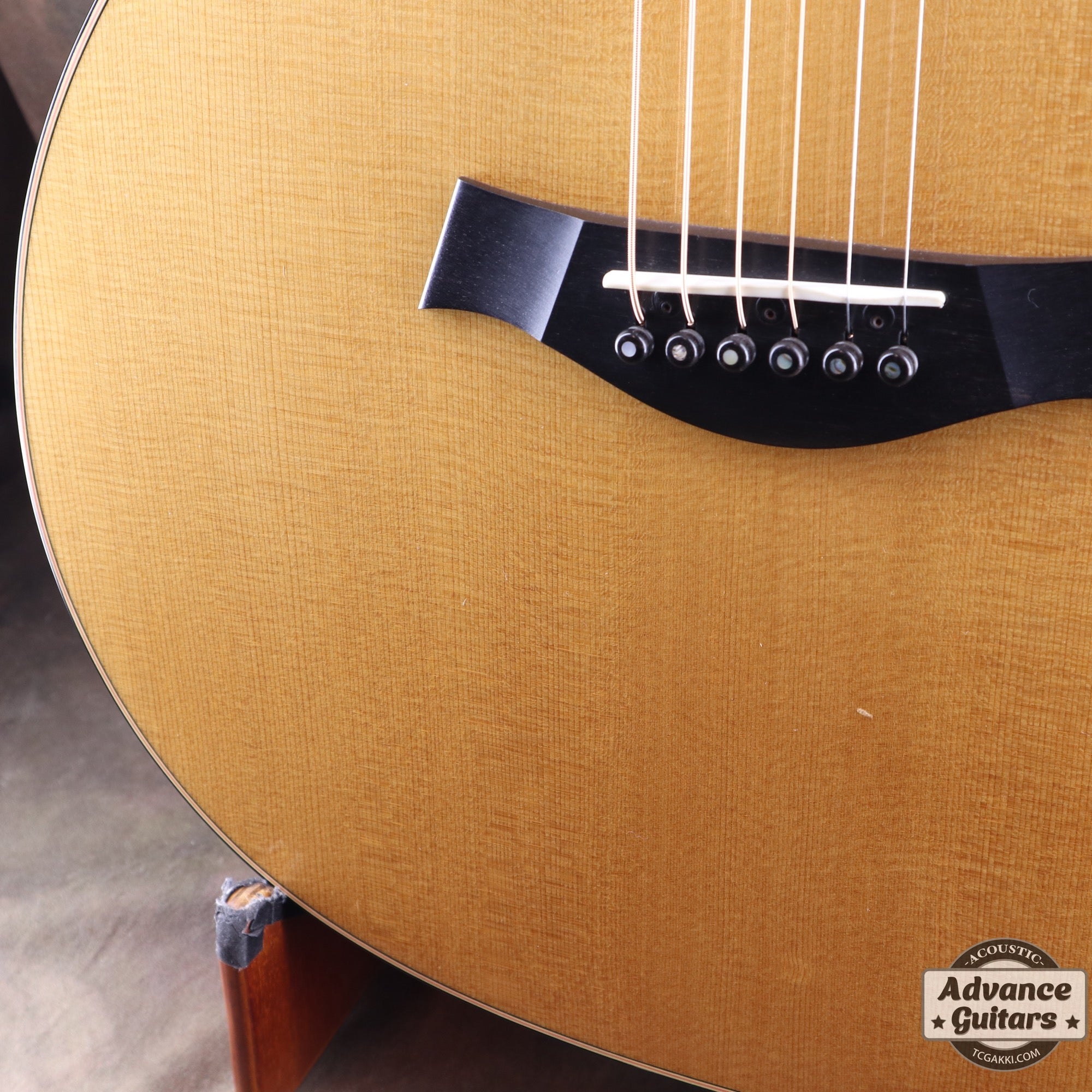 HR - LTD - TC楽器 - TCGAKKI