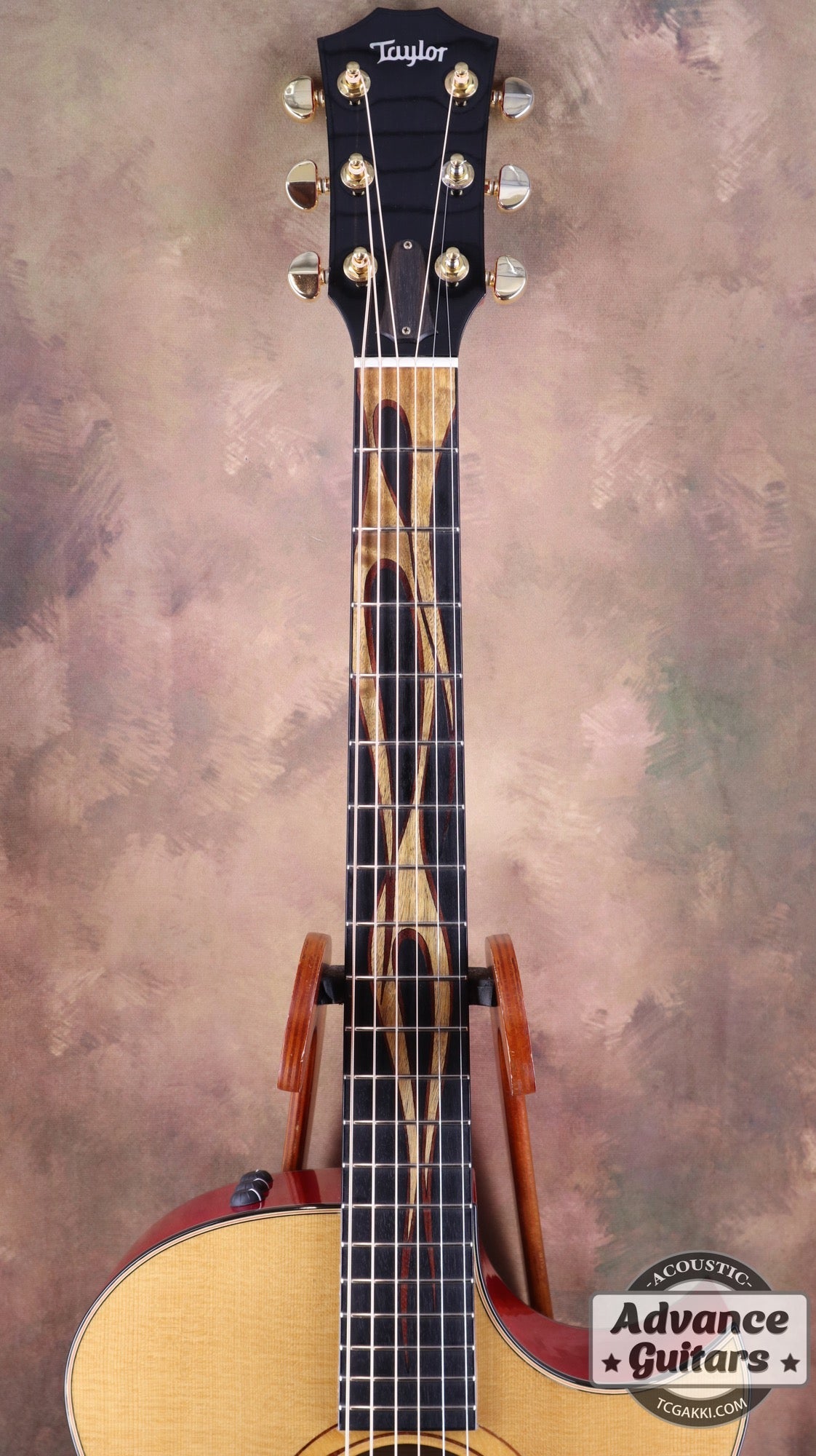 HR - LTD - TC楽器 - TCGAKKI