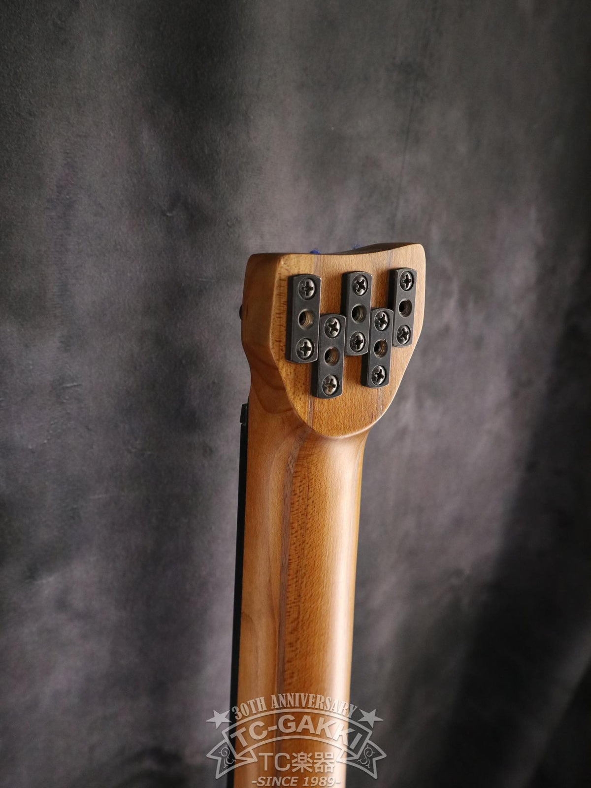 Ibanez 2023 EHB1005F - TC楽器 - TCGAKKI