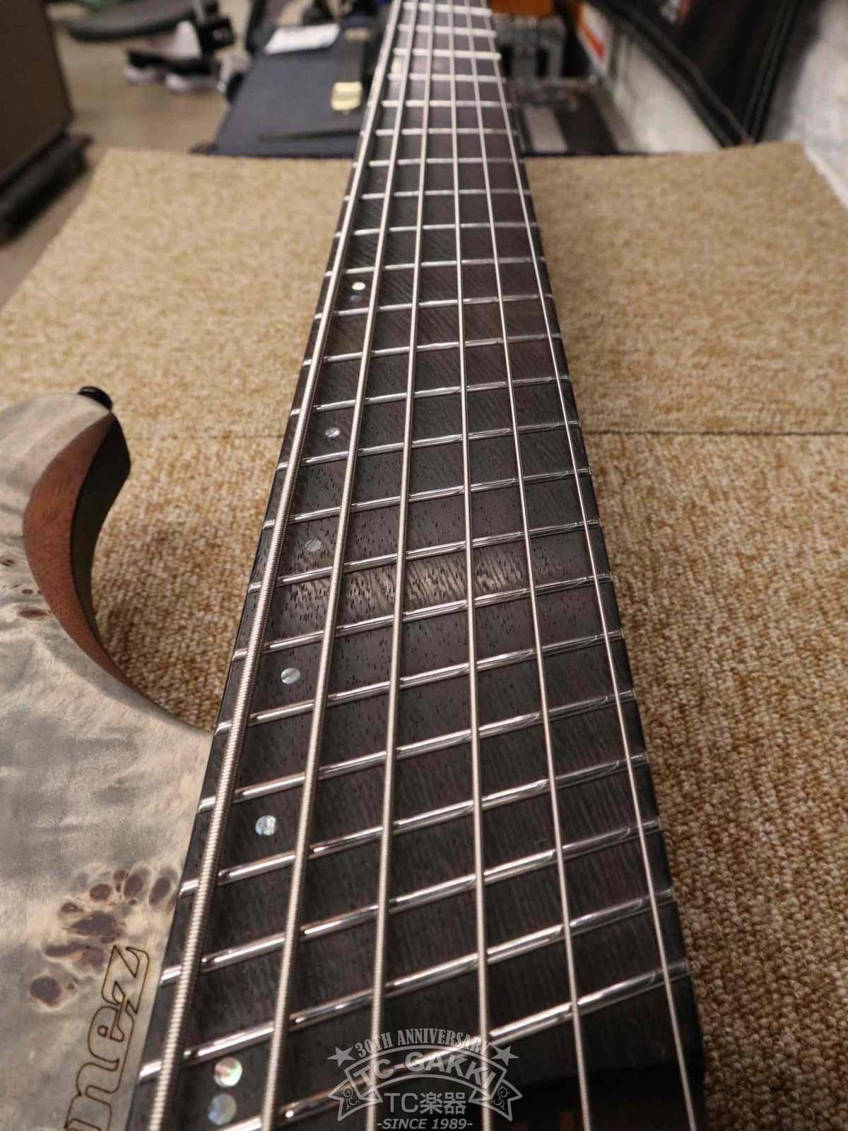 Ibanez 2023 EHB1506MS - TC楽器 - TCGAKKI