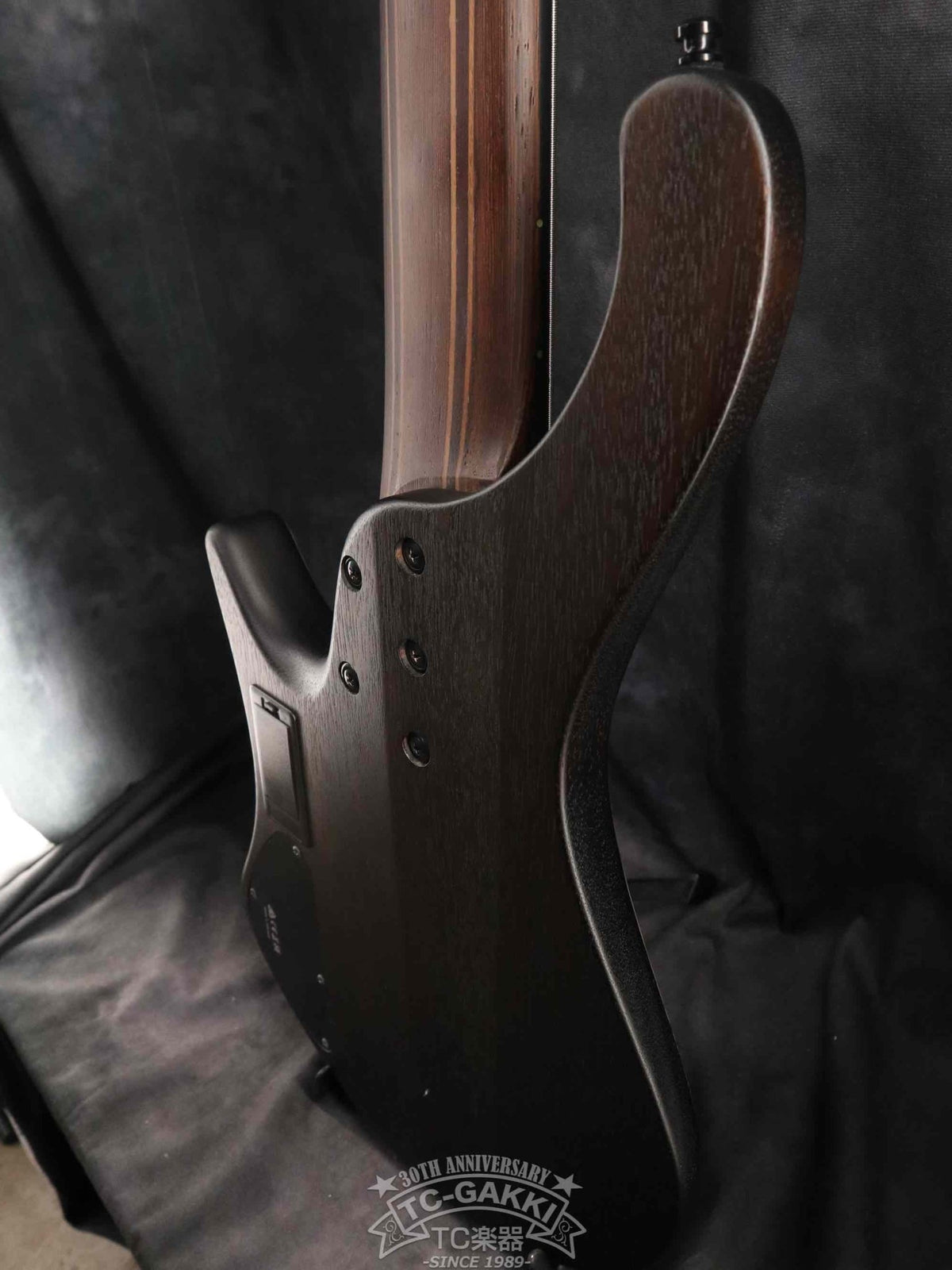 Ibanez 2023 EHB1506MS - TC楽器 - TCGAKKI