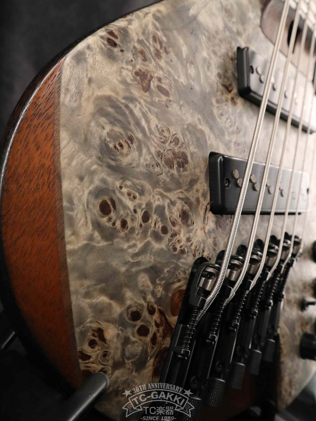 Ibanez 2023 EHB1506MS - TC楽器 - TCGAKKI