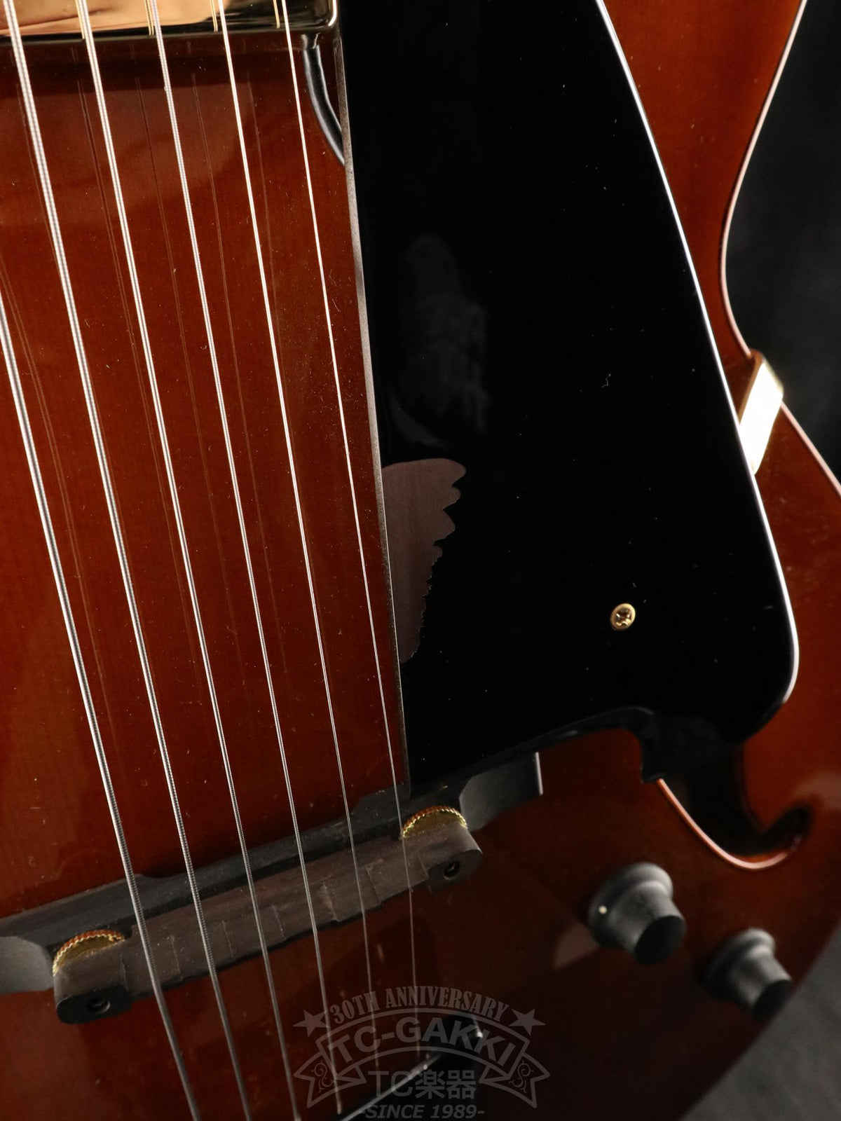 Ibanez AFC151 - TC楽器 - TCGAKKI