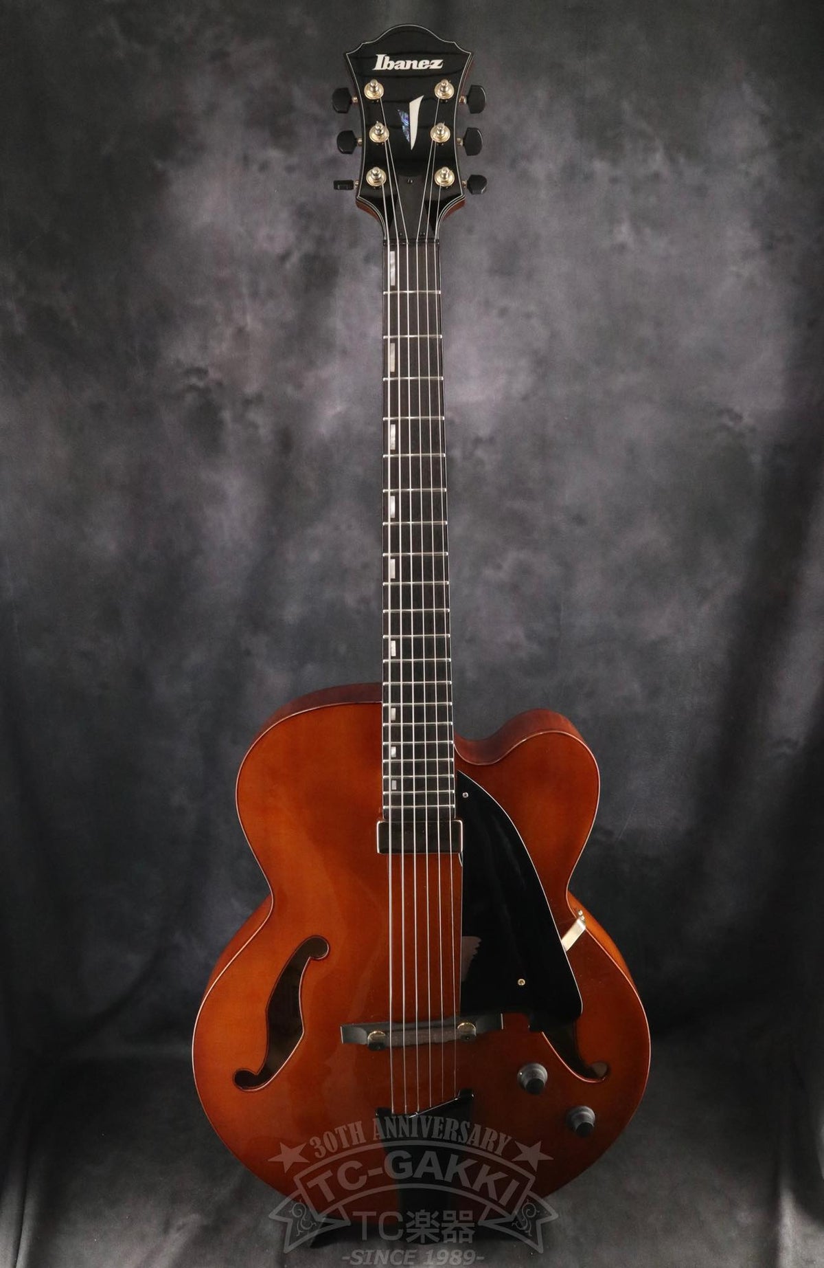 Ibanez AFC151 - TC楽器 - TCGAKKI